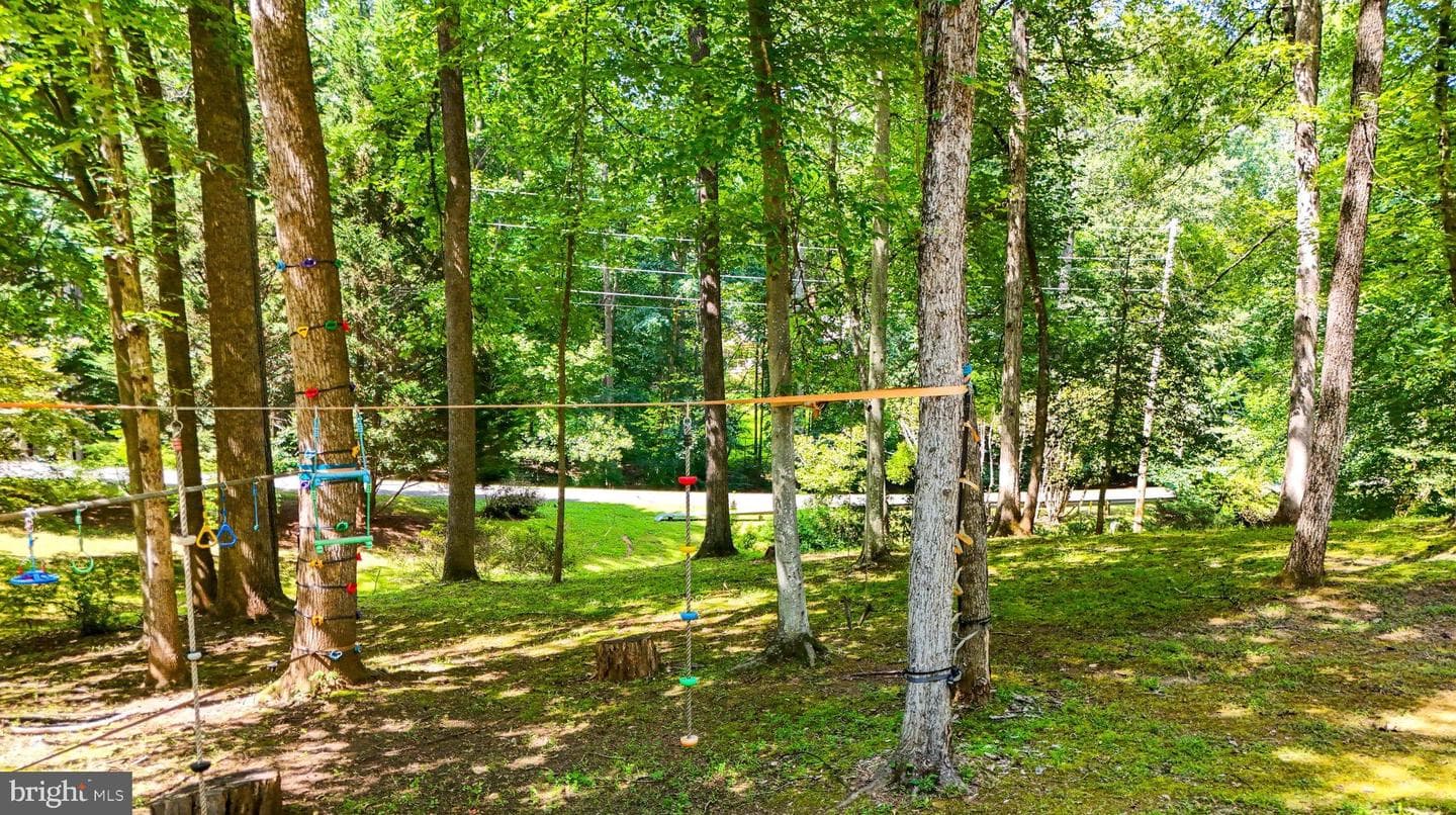 11109 Ravine Drive photo 32