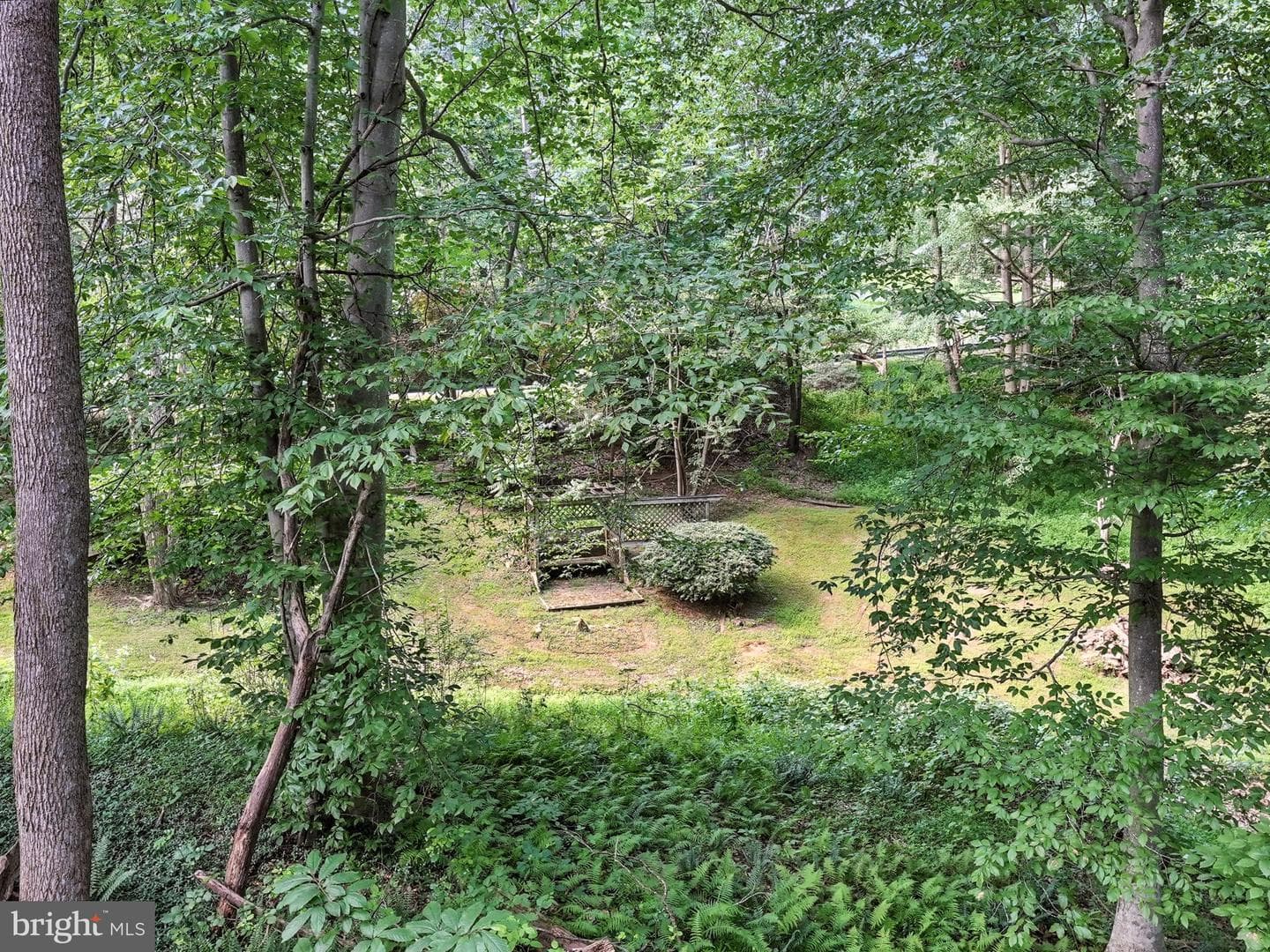 11109 Ravine Drive photo 41