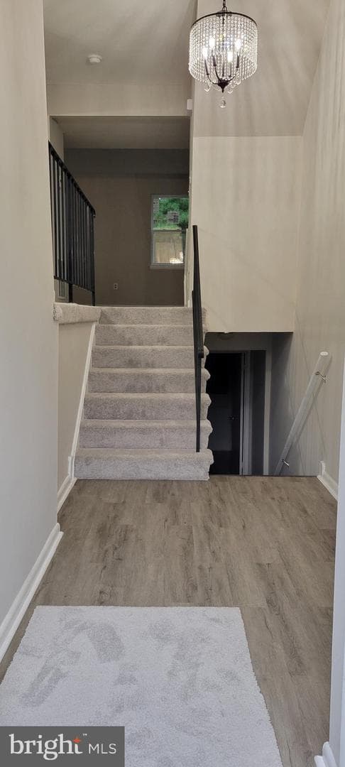 15026 Cardin Place photo 14