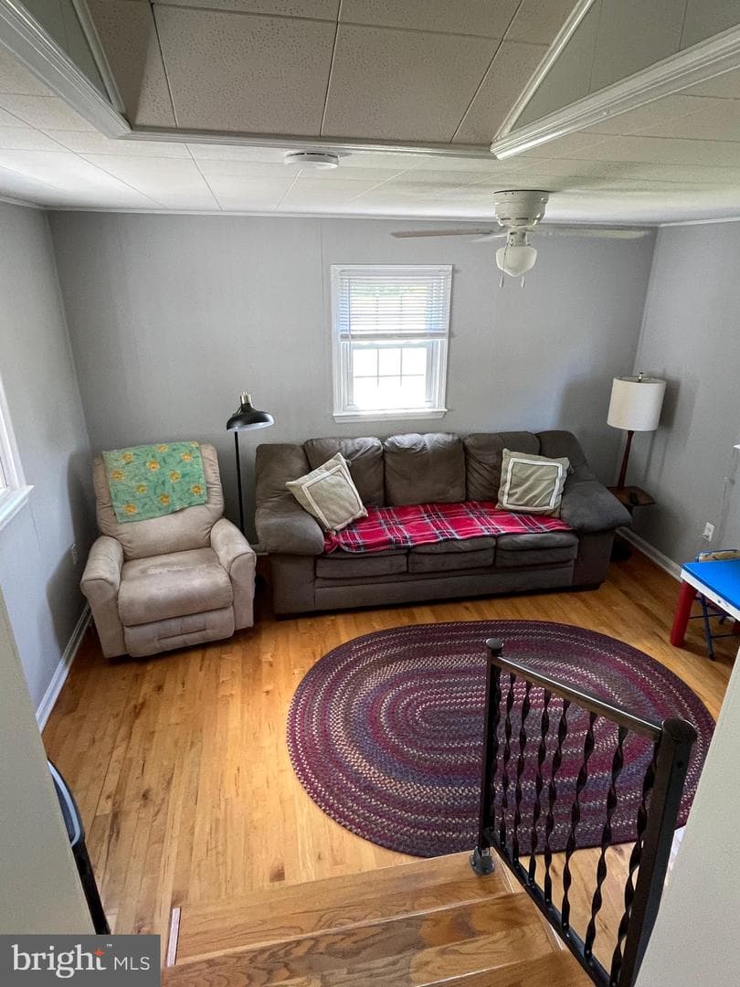 11817 Colvin Lane photo 10