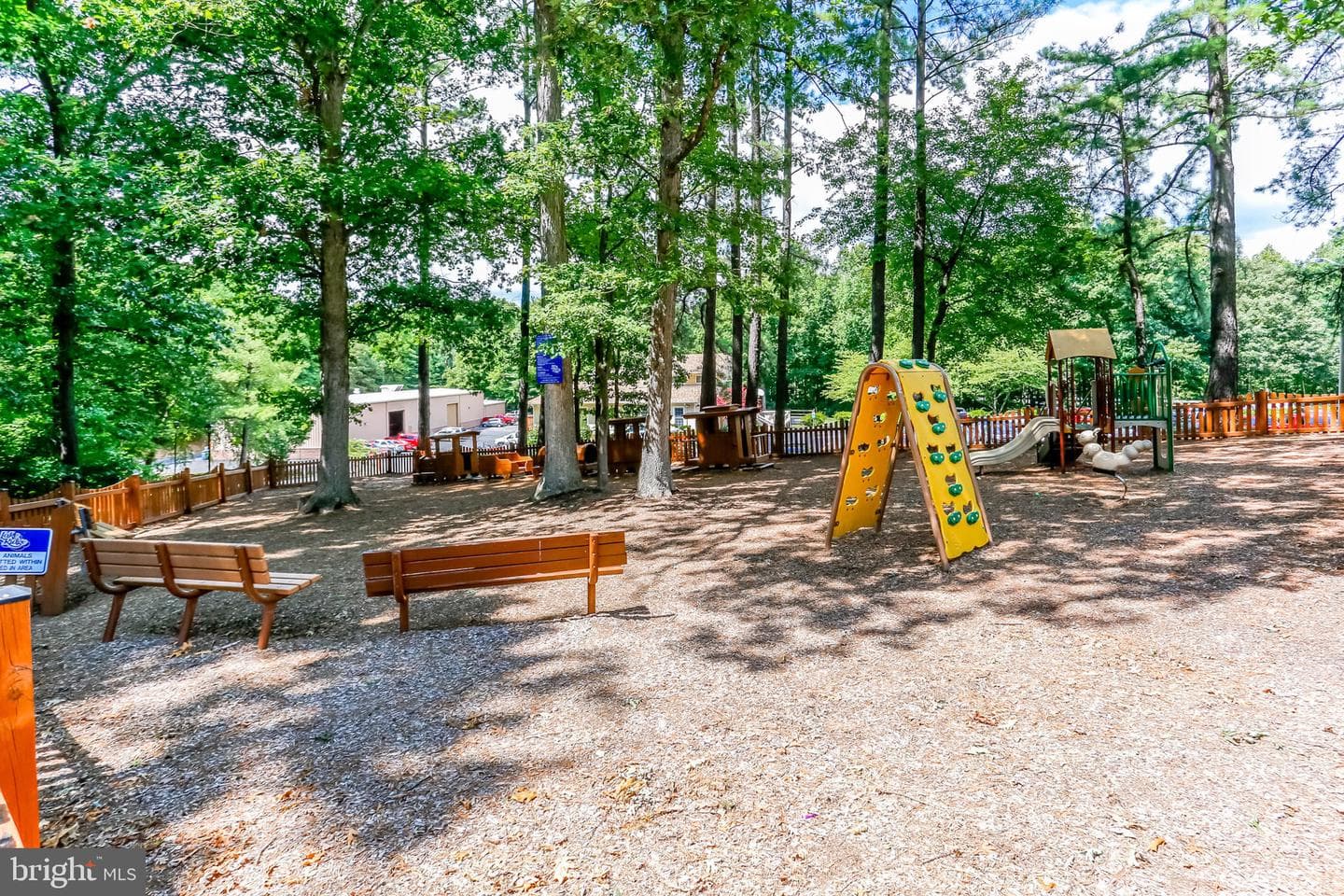 3518 Mount Burnside Way photo 83
