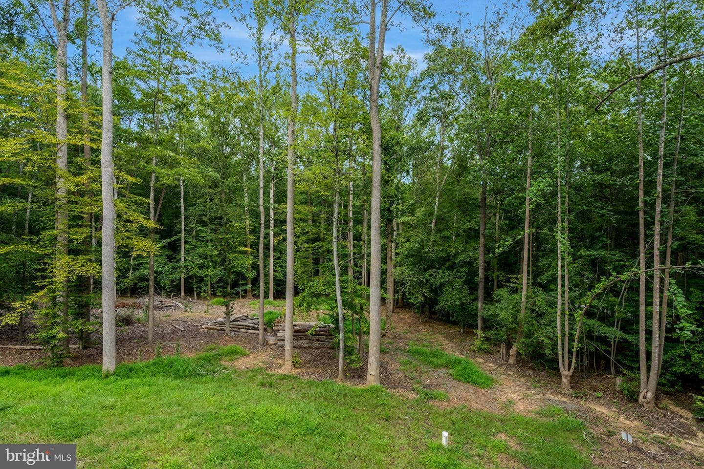 8880 Evelyn Drive photo 47