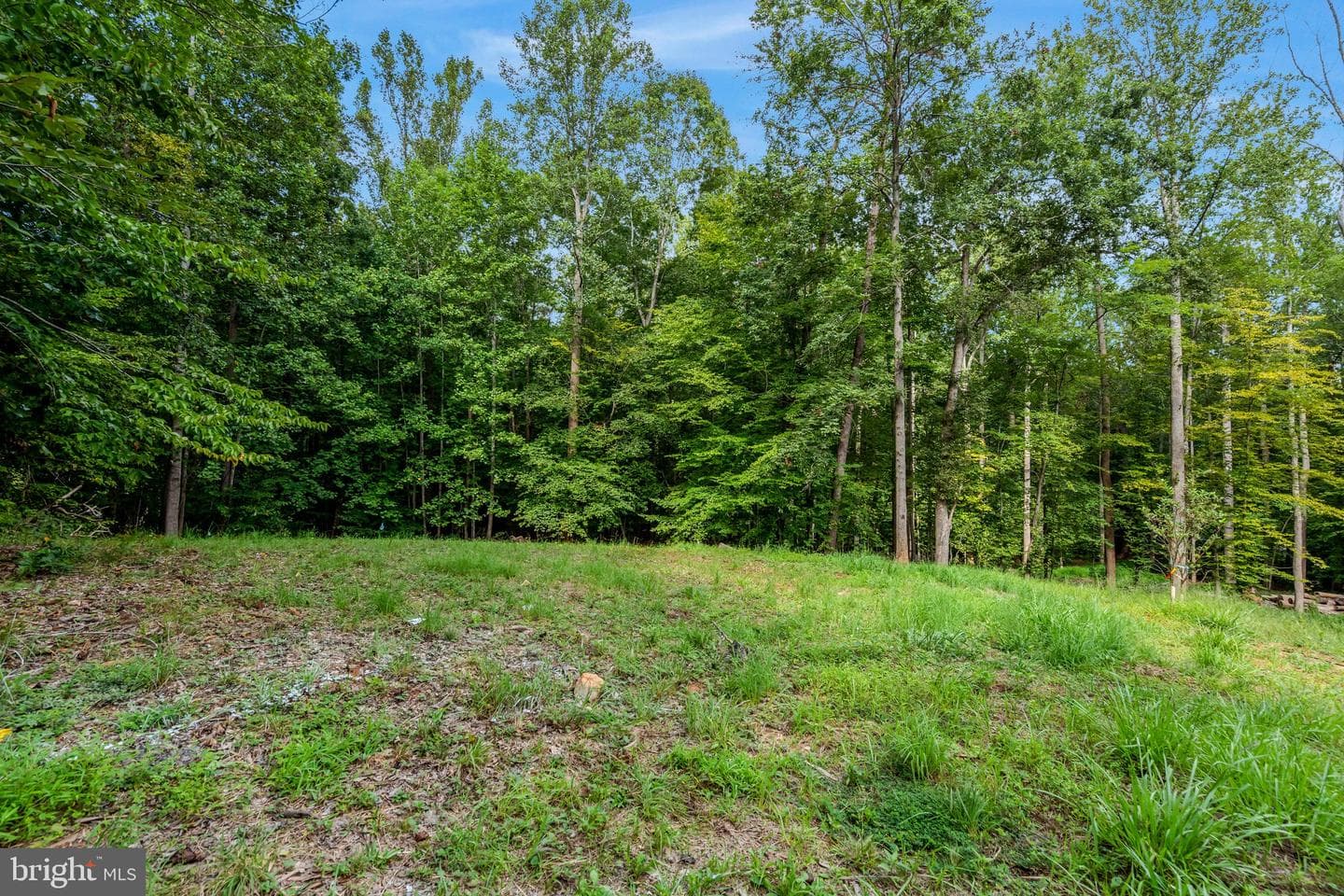 8880 Evelyn Drive photo 48