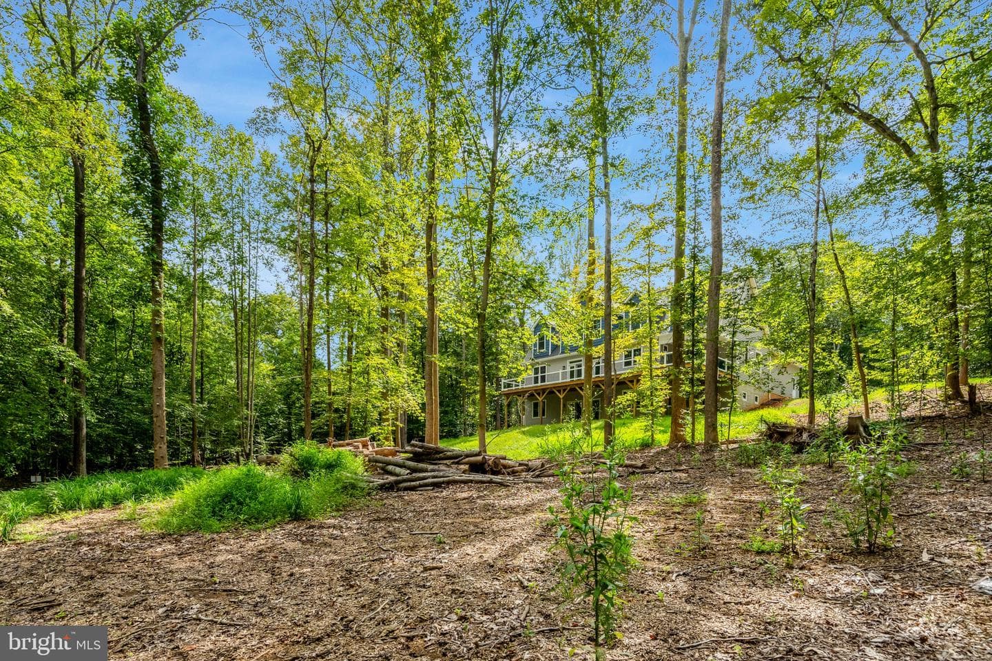 8880 Evelyn Drive photo 56
