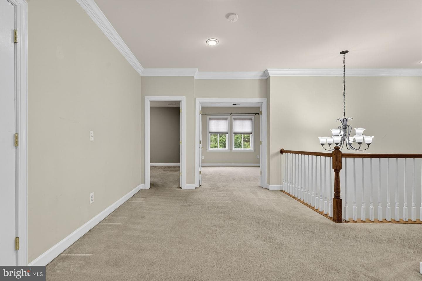 10554 Andrew Humphreys Court photo 54
