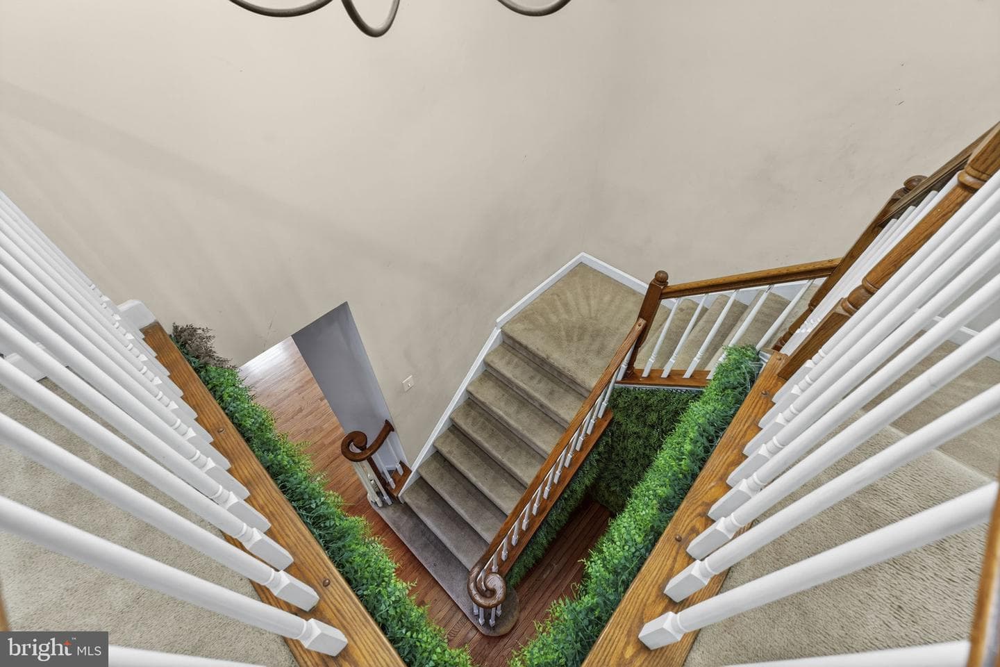 10554 Andrew Humphreys Court photo 57