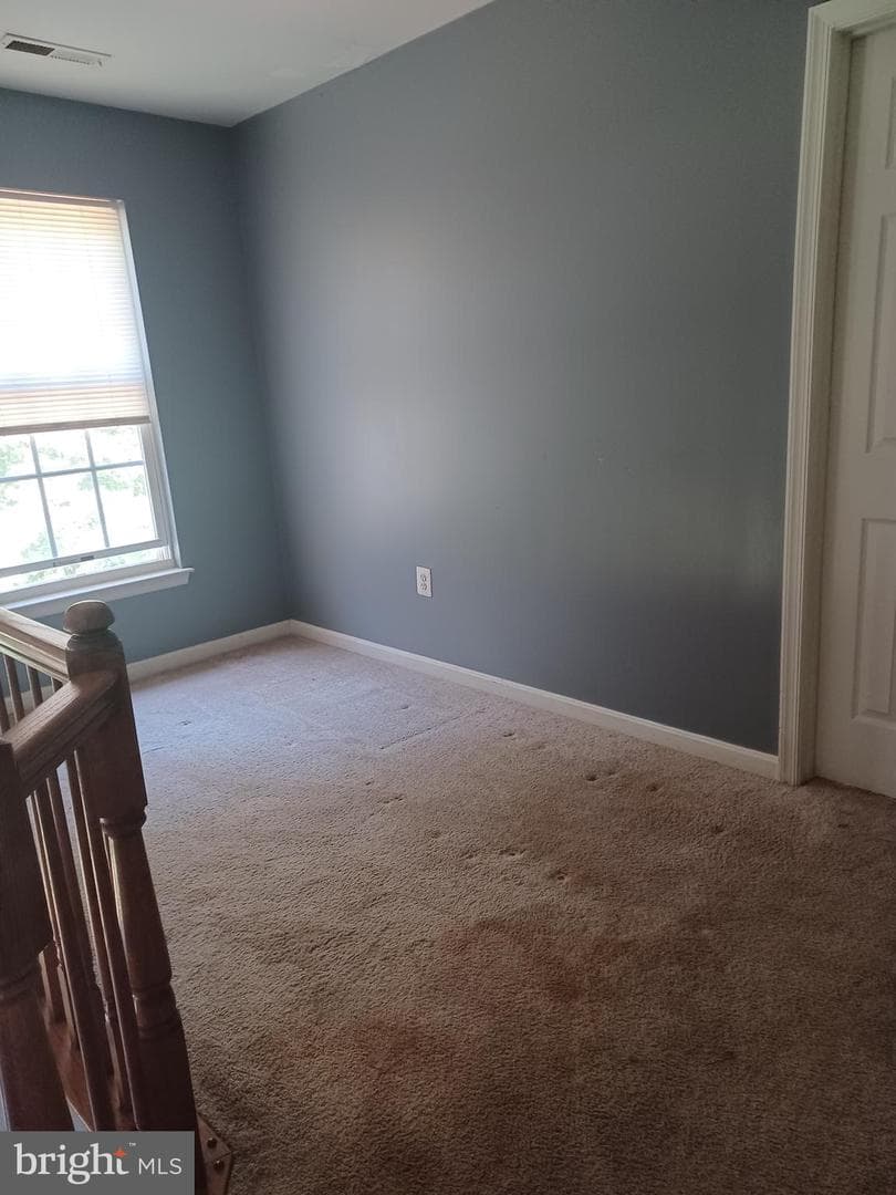 17590 Deweys Run Lane photo 13