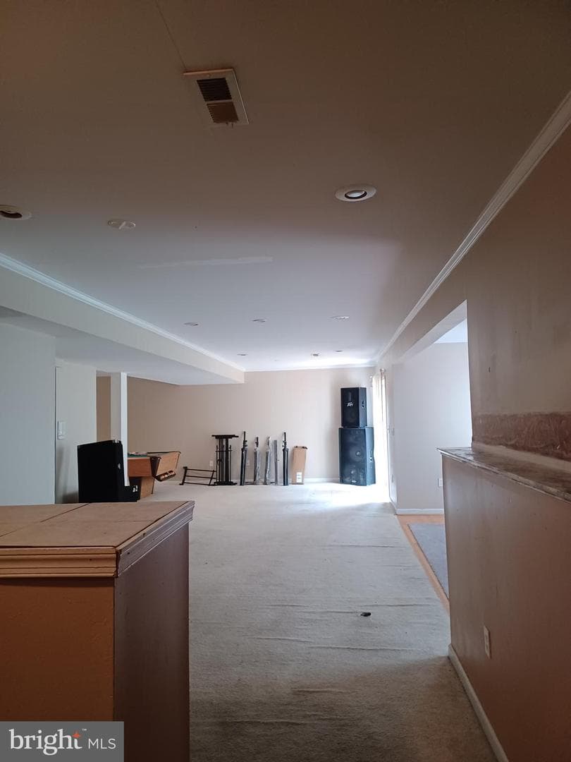17590 Deweys Run Lane photo 23