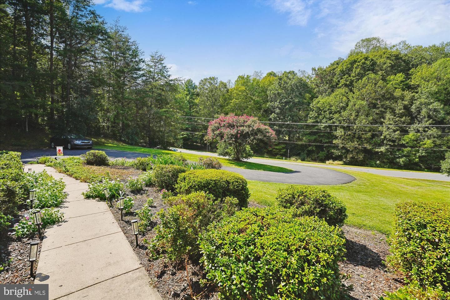 10315 Bear Creek Drive photo 56