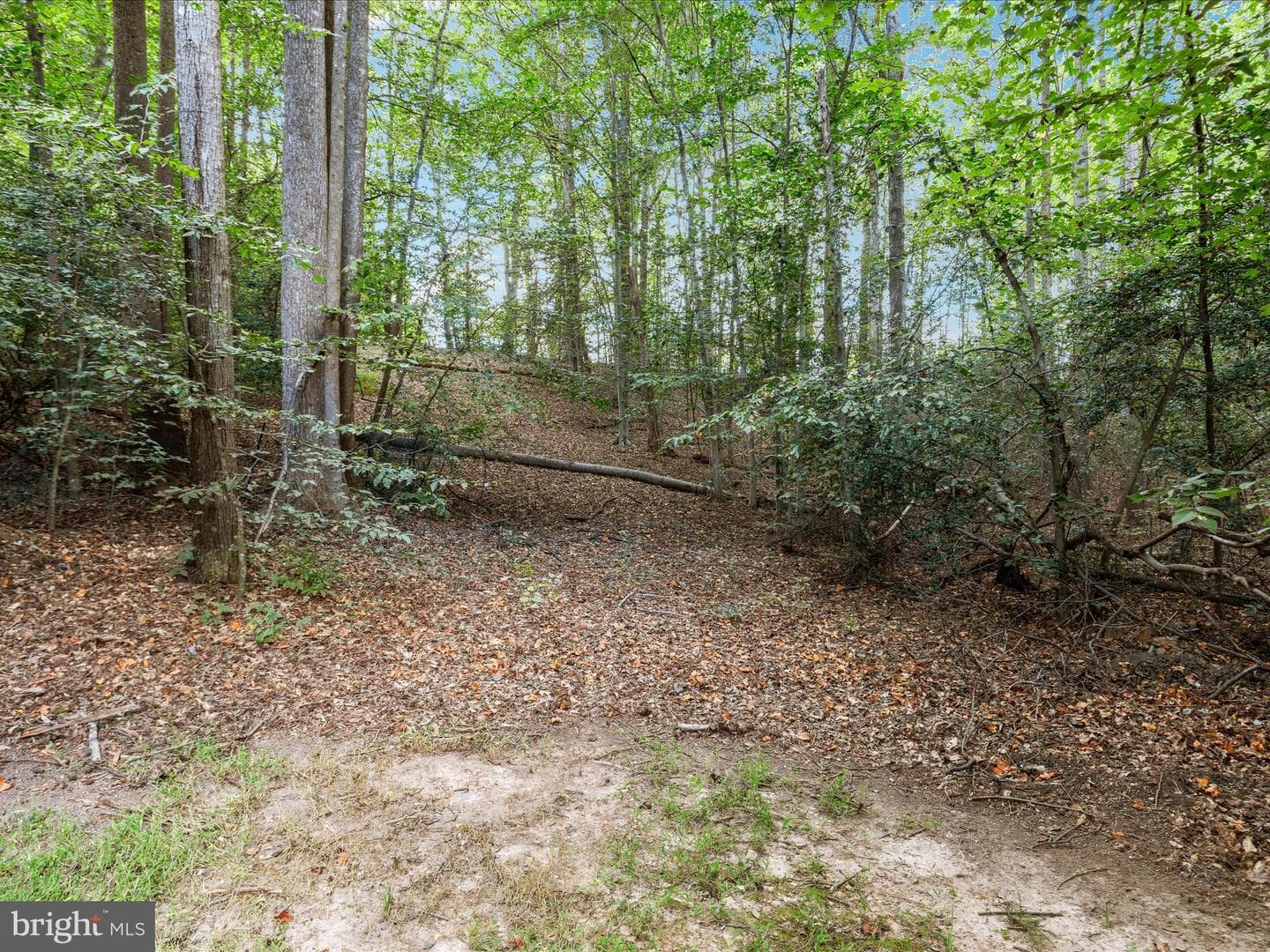 15240 Eclipse Drive photo 21