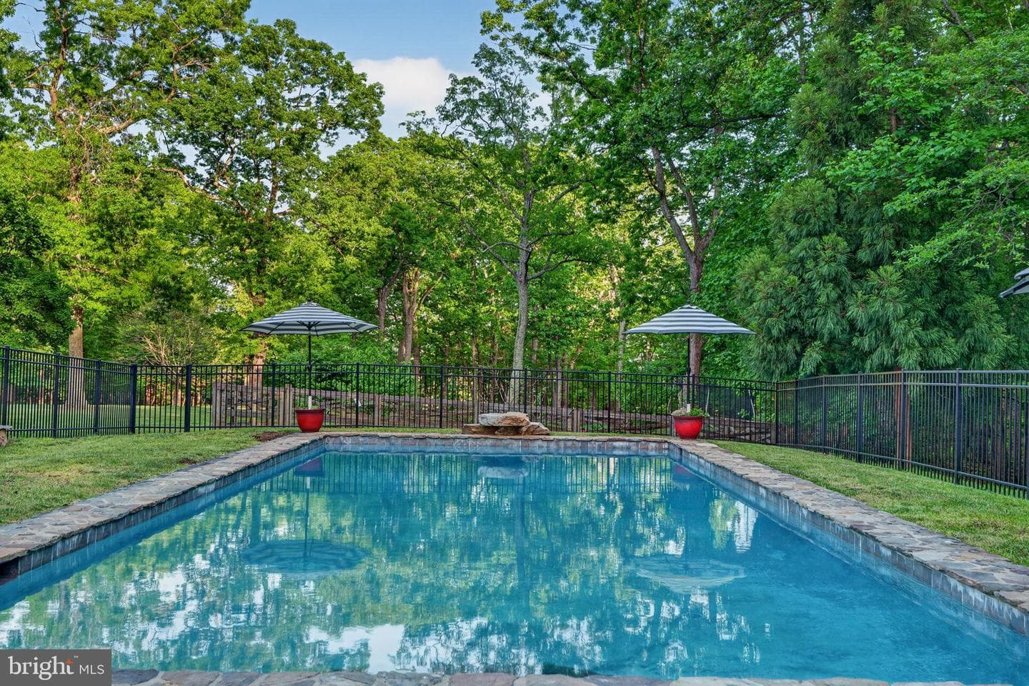 3204 Mountain Road photo 4