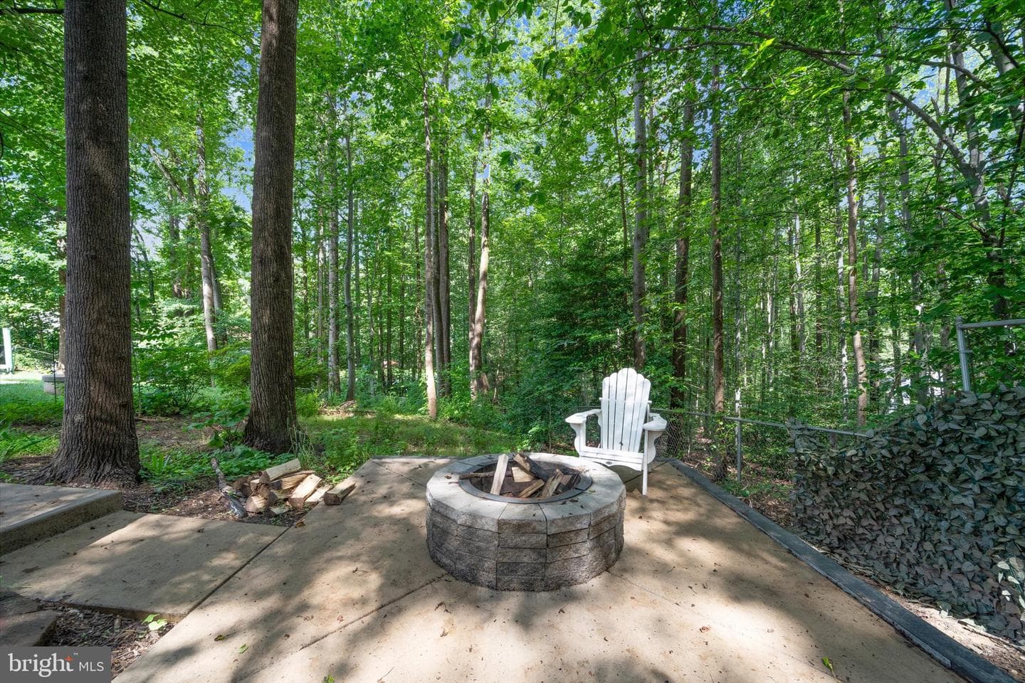 6504 Basil Court photo 49