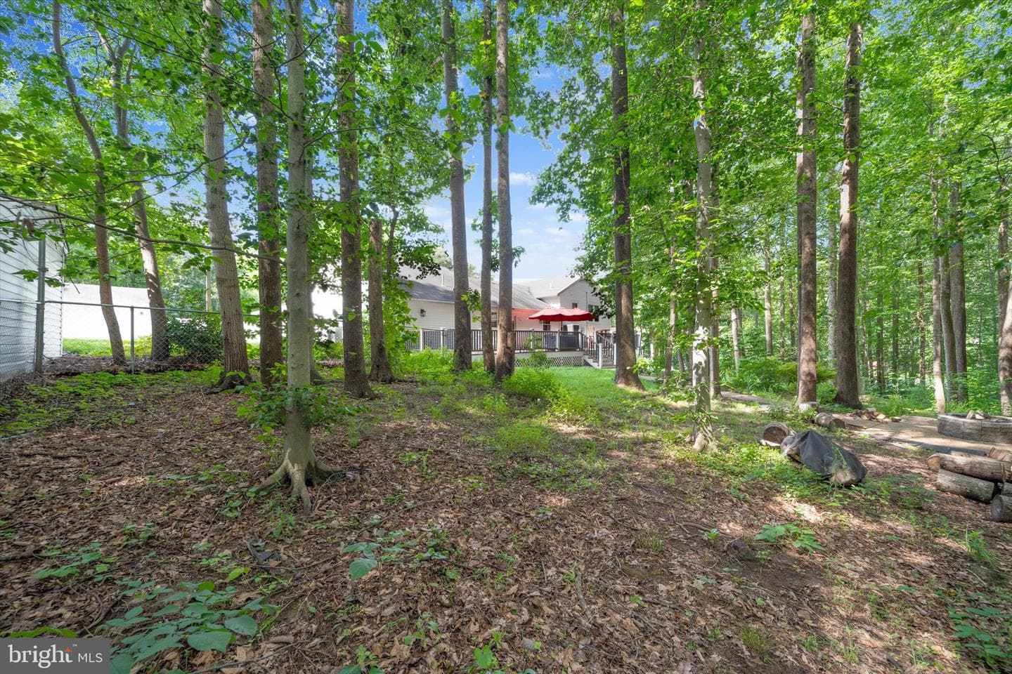 6504 Basil Court photo 50
