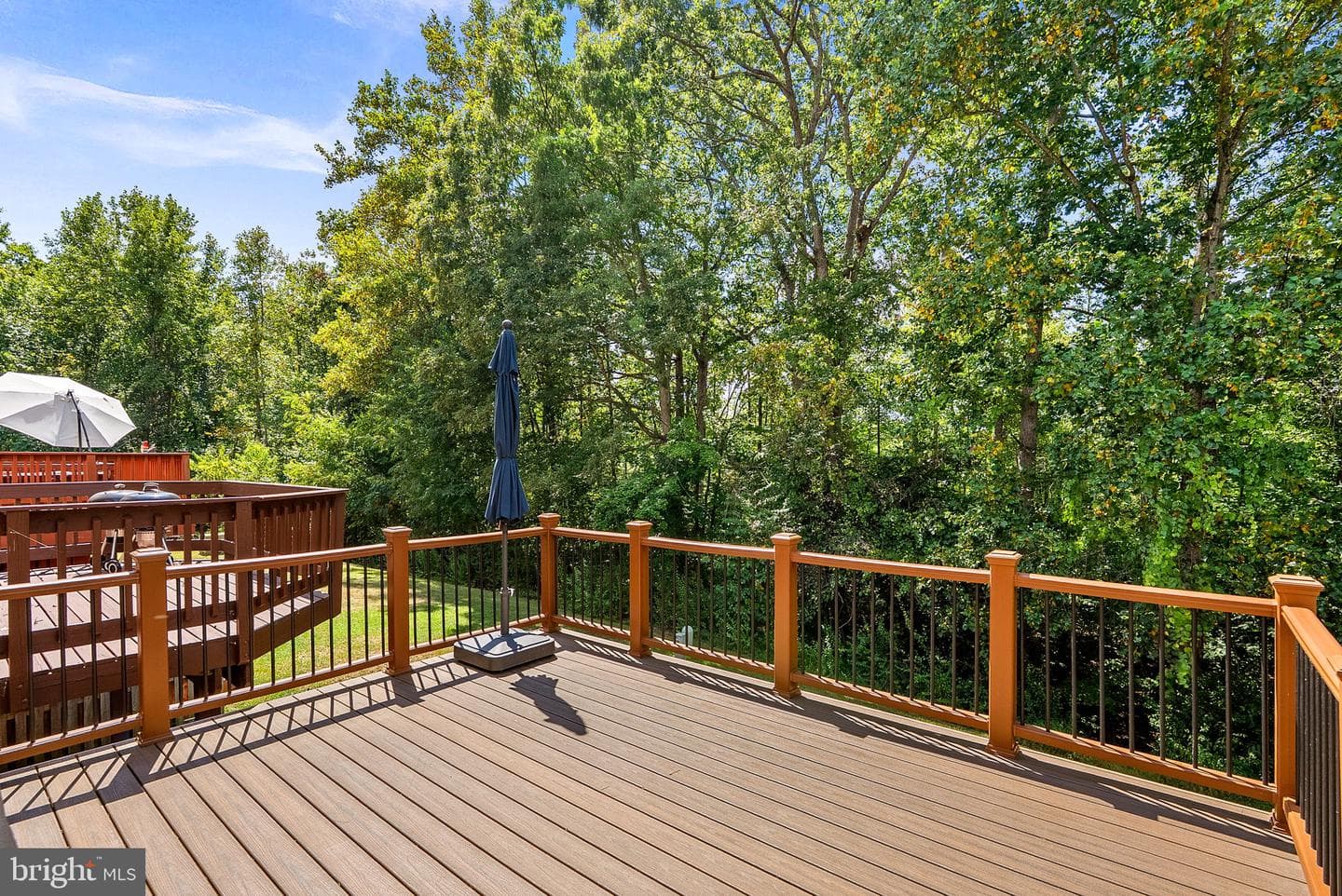 3511 Aviary Way photo 31