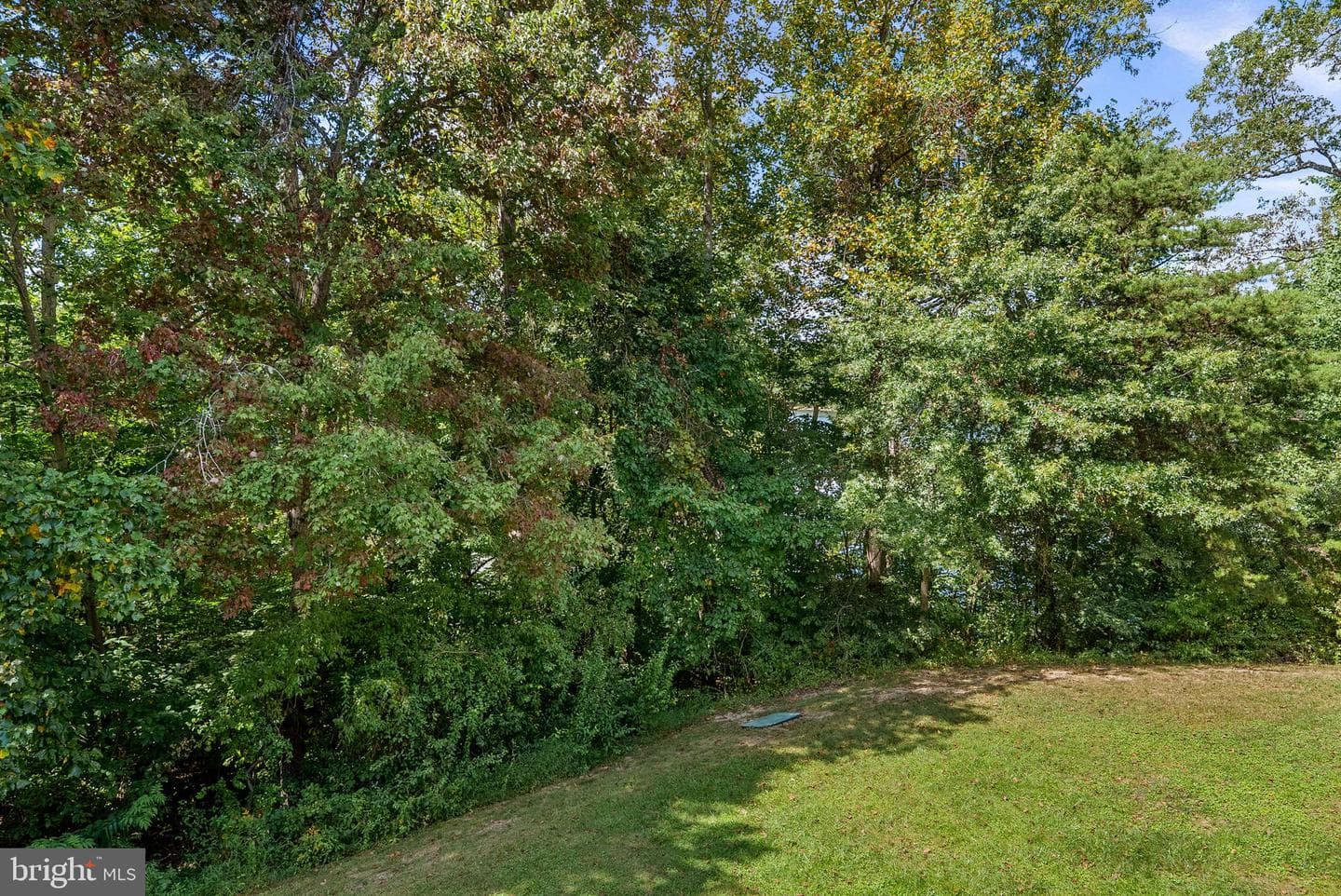 3511 Aviary Way photo 33