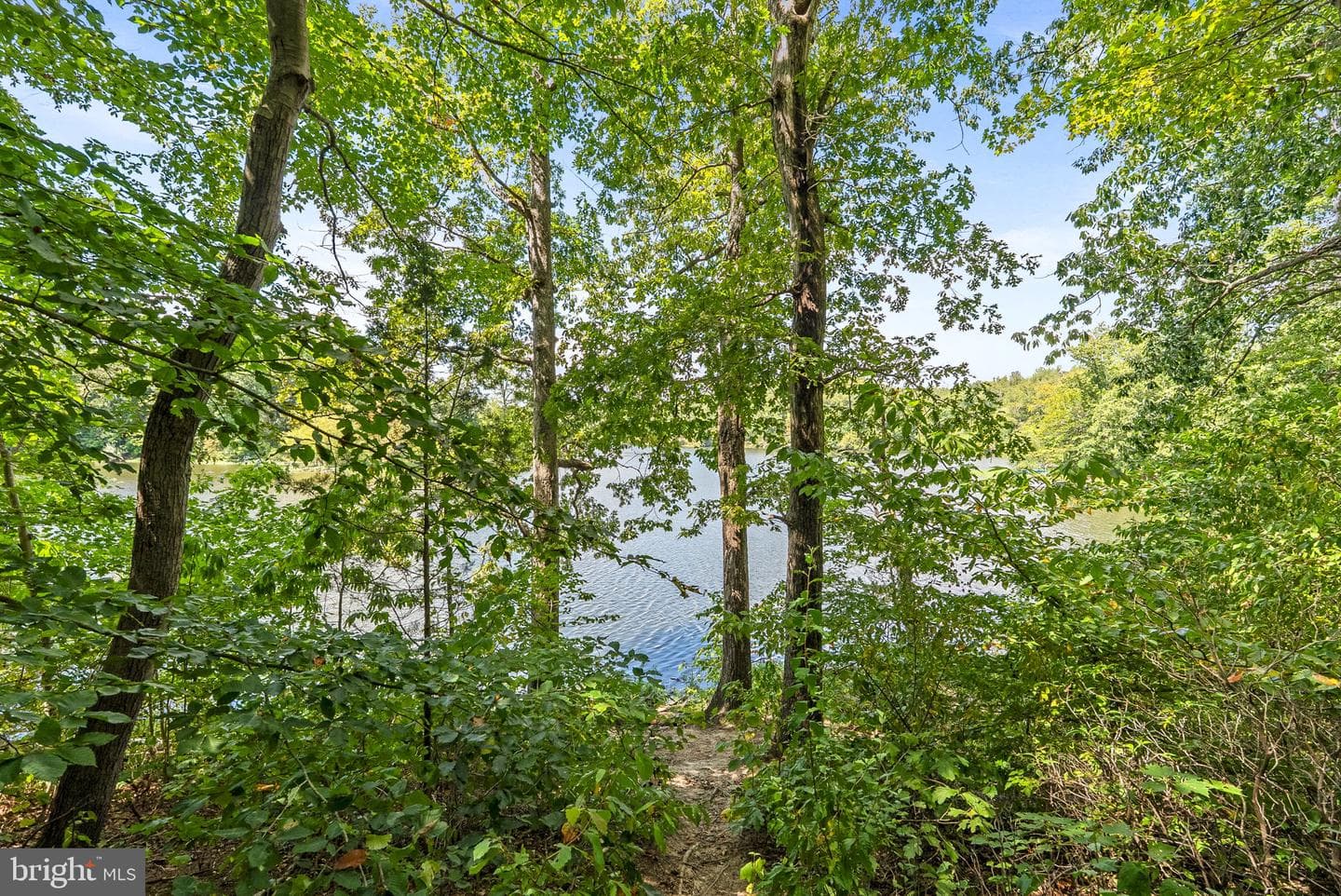 3511 Aviary Way photo 41