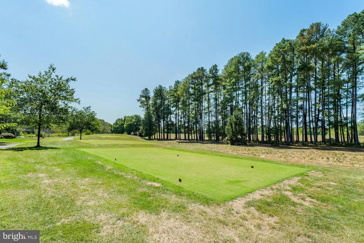 13457 Victory Gallop Way photo 25