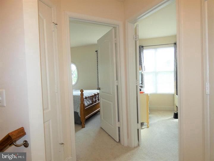 4911 Potomac Highlands Circle photo 11