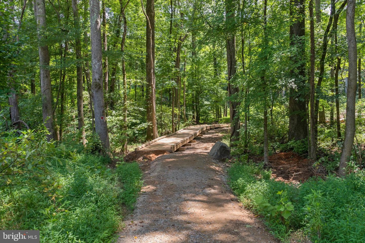 13127 White Oak Springs Place photo 48