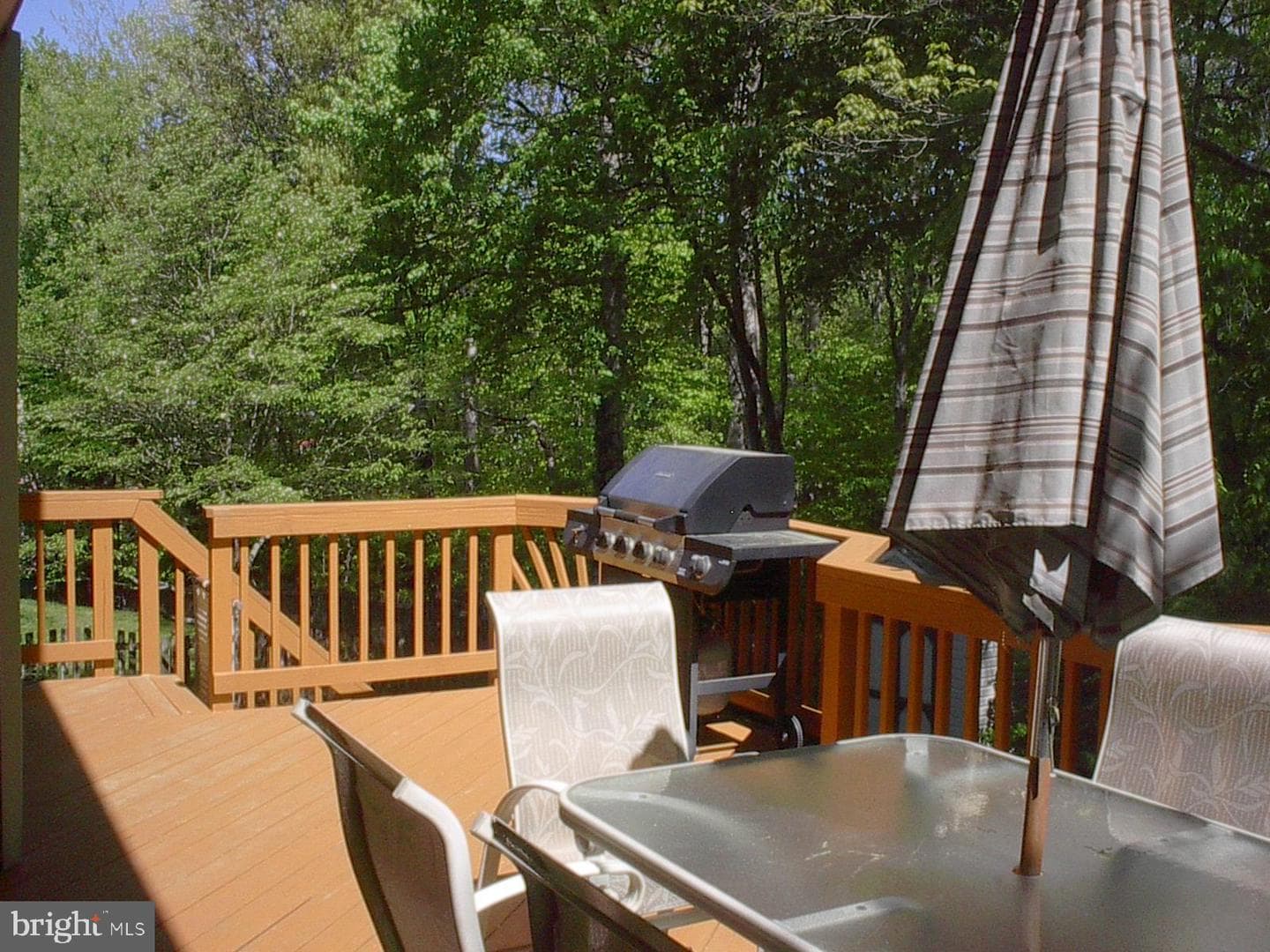 8732 Vanore Place photo 7