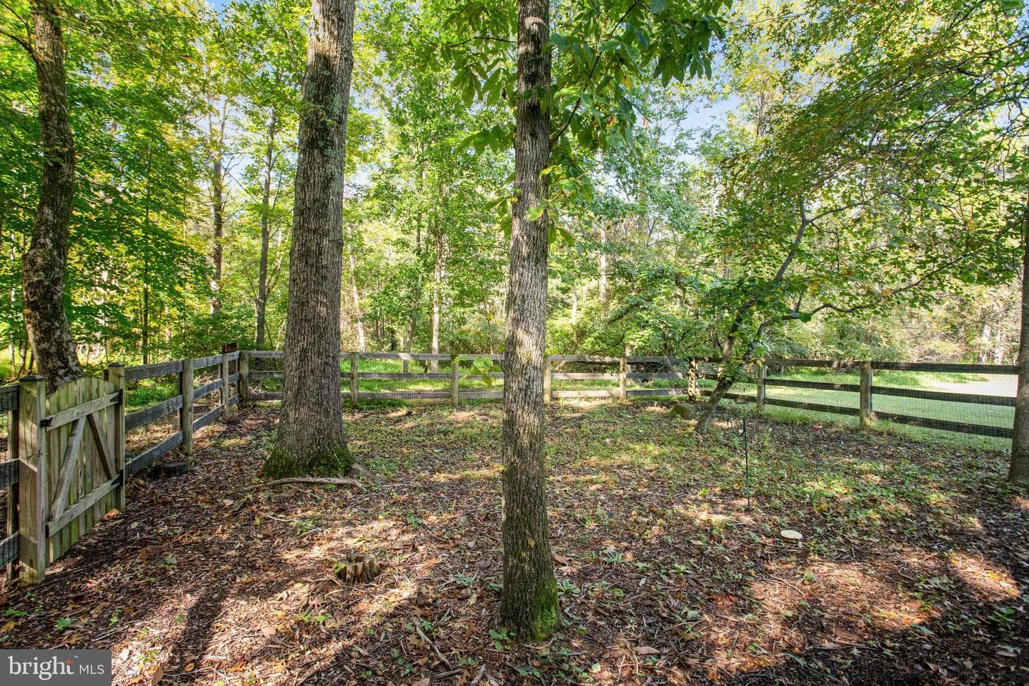 9300 Mackenzie Meadow Court photo 83