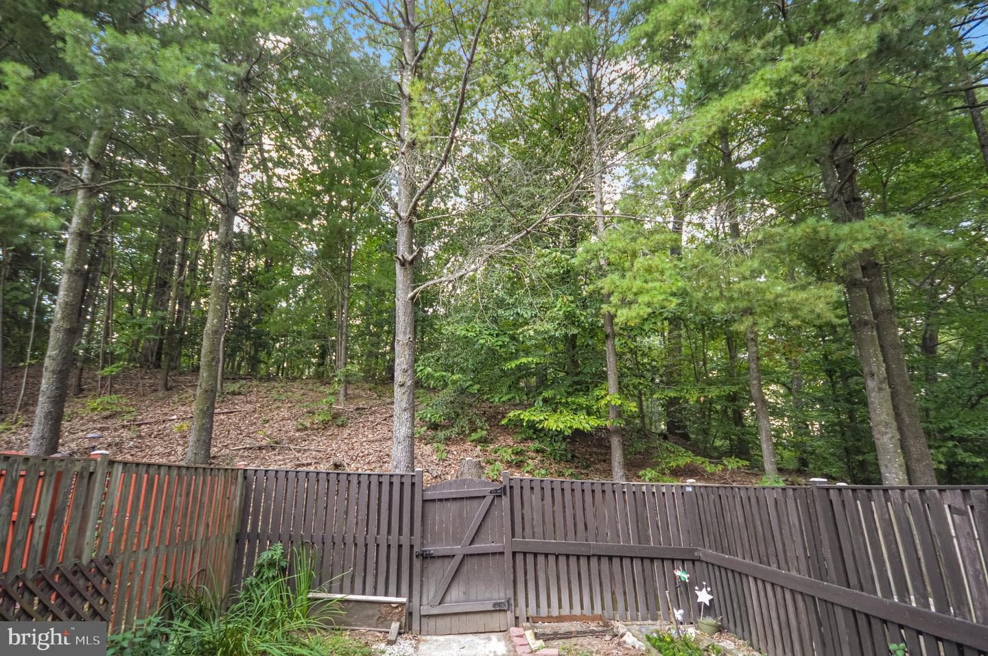 3129 Antrim Circle photo 29