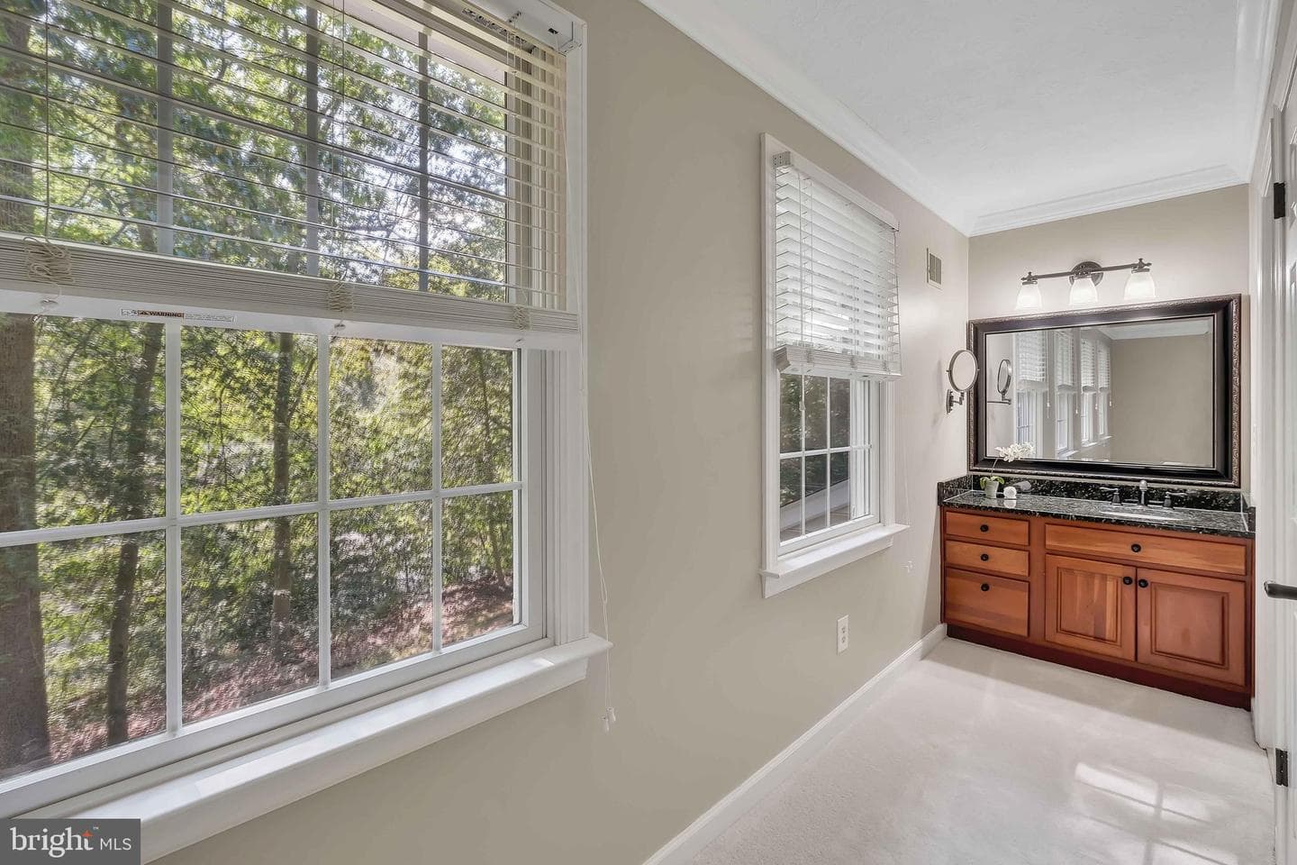 11922 Falling Creek Drive photo 23