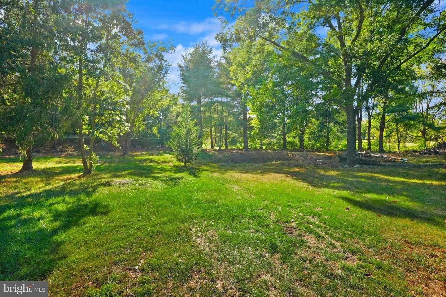 4303 Sudley Road photo 77