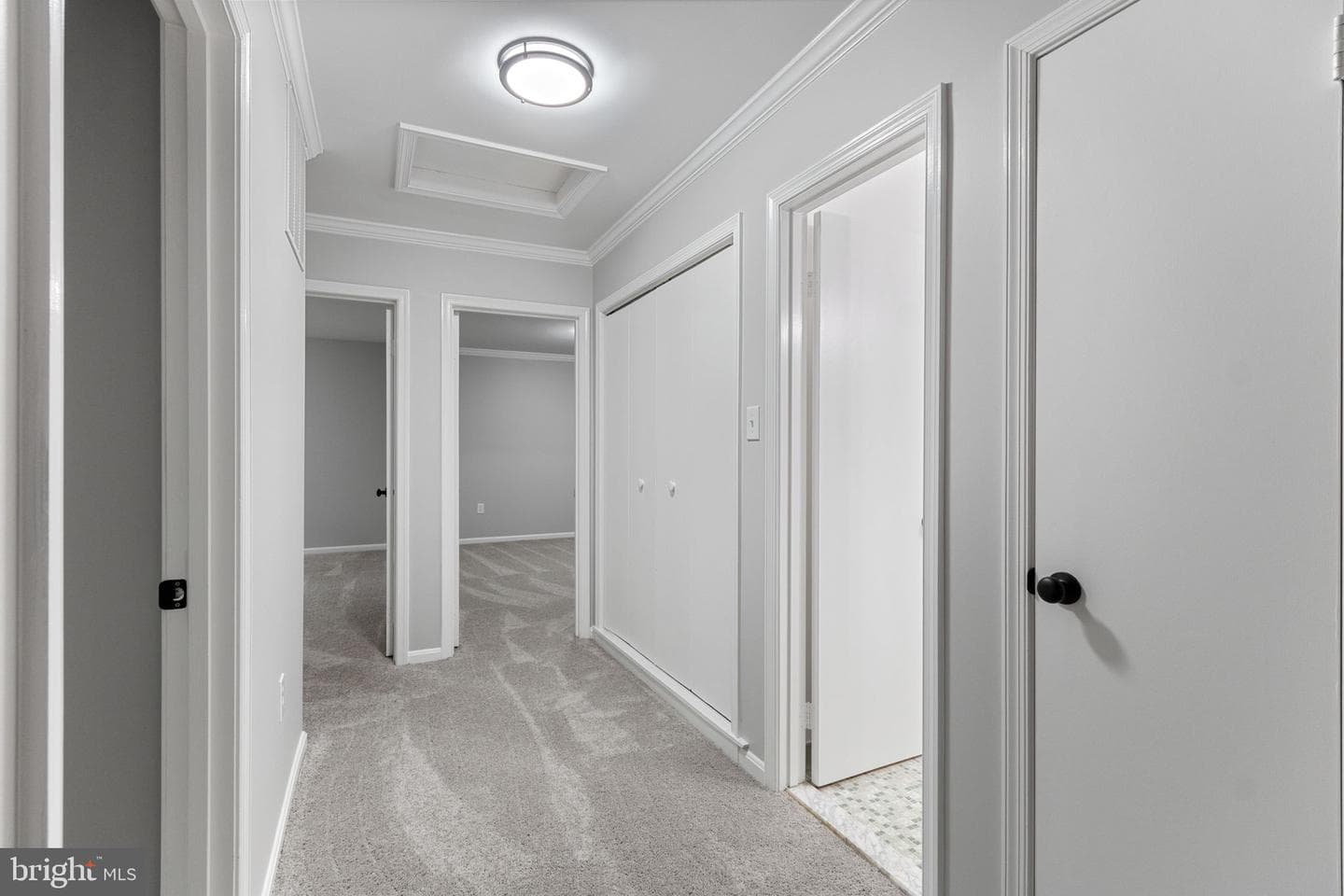 4504 Andrews Place photo 25