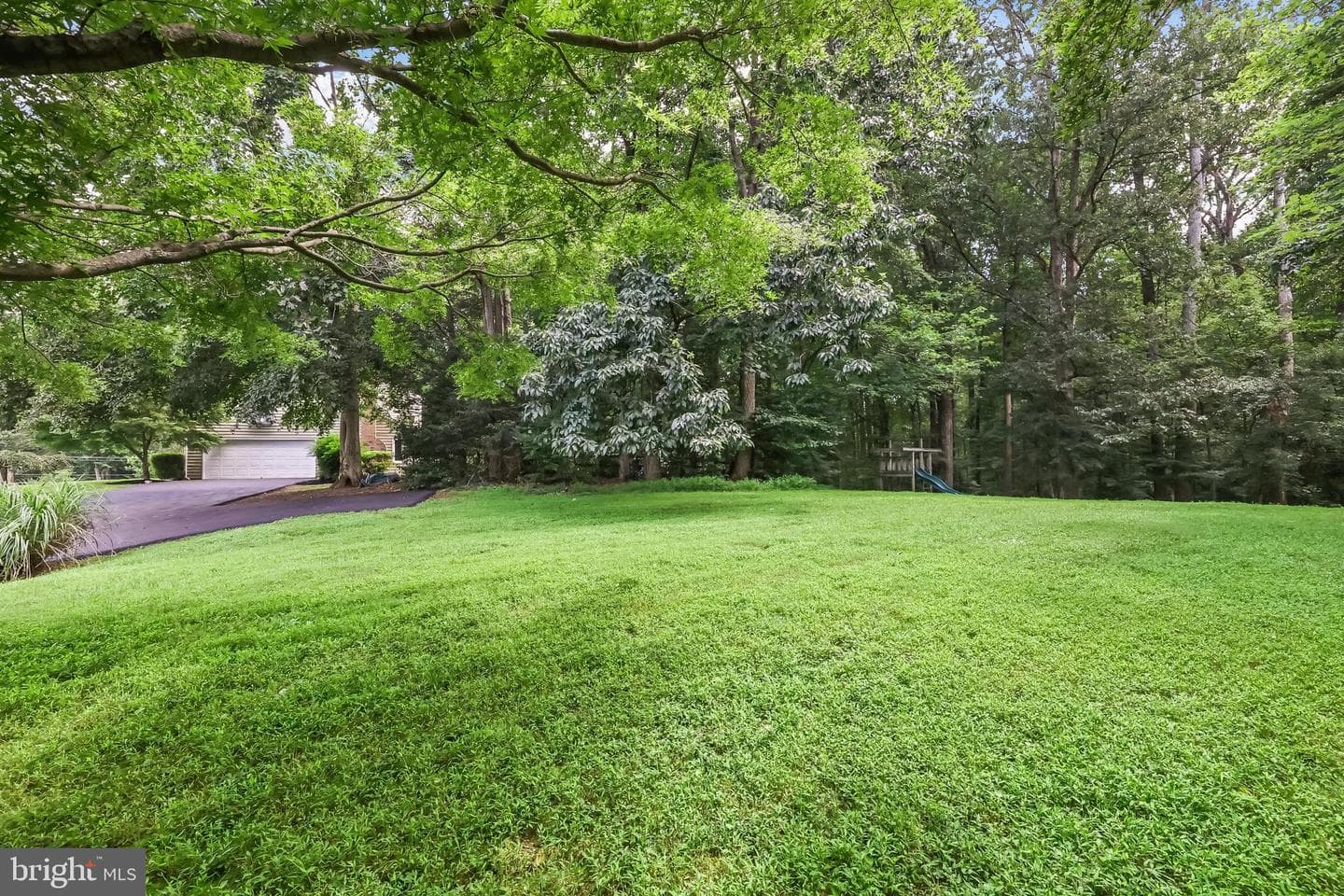 11175 Stonebrook Drive photo 35