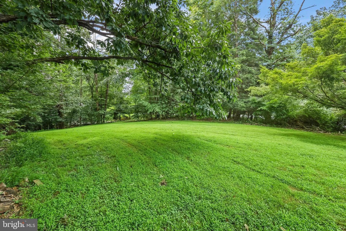 11175 Stonebrook Drive photo 37