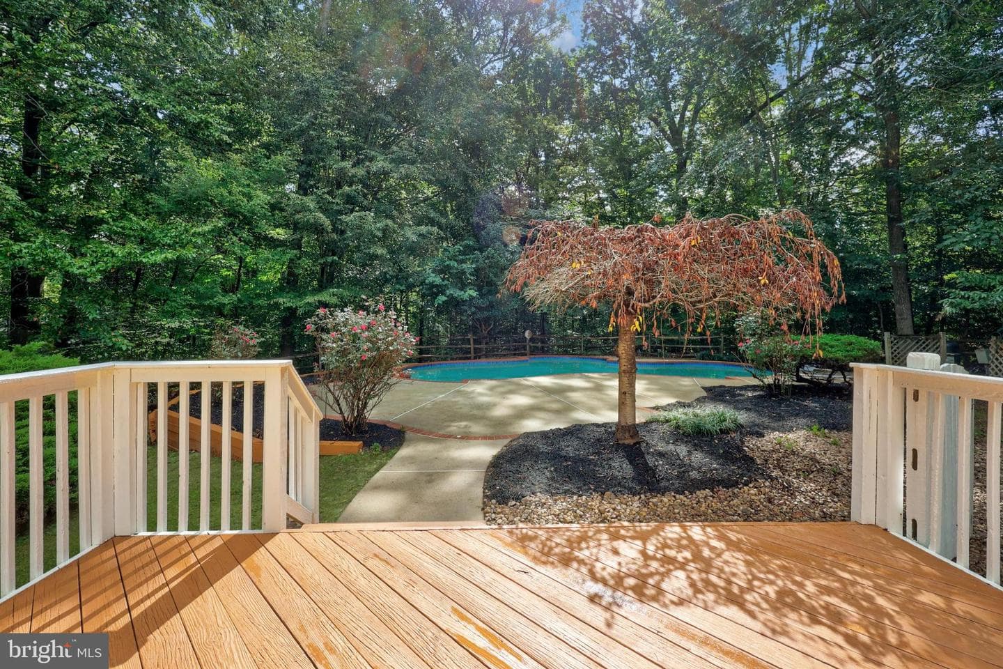 11175 Stonebrook Drive photo 45