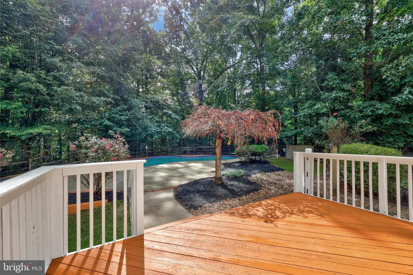 11175 Stonebrook Drive photo 46