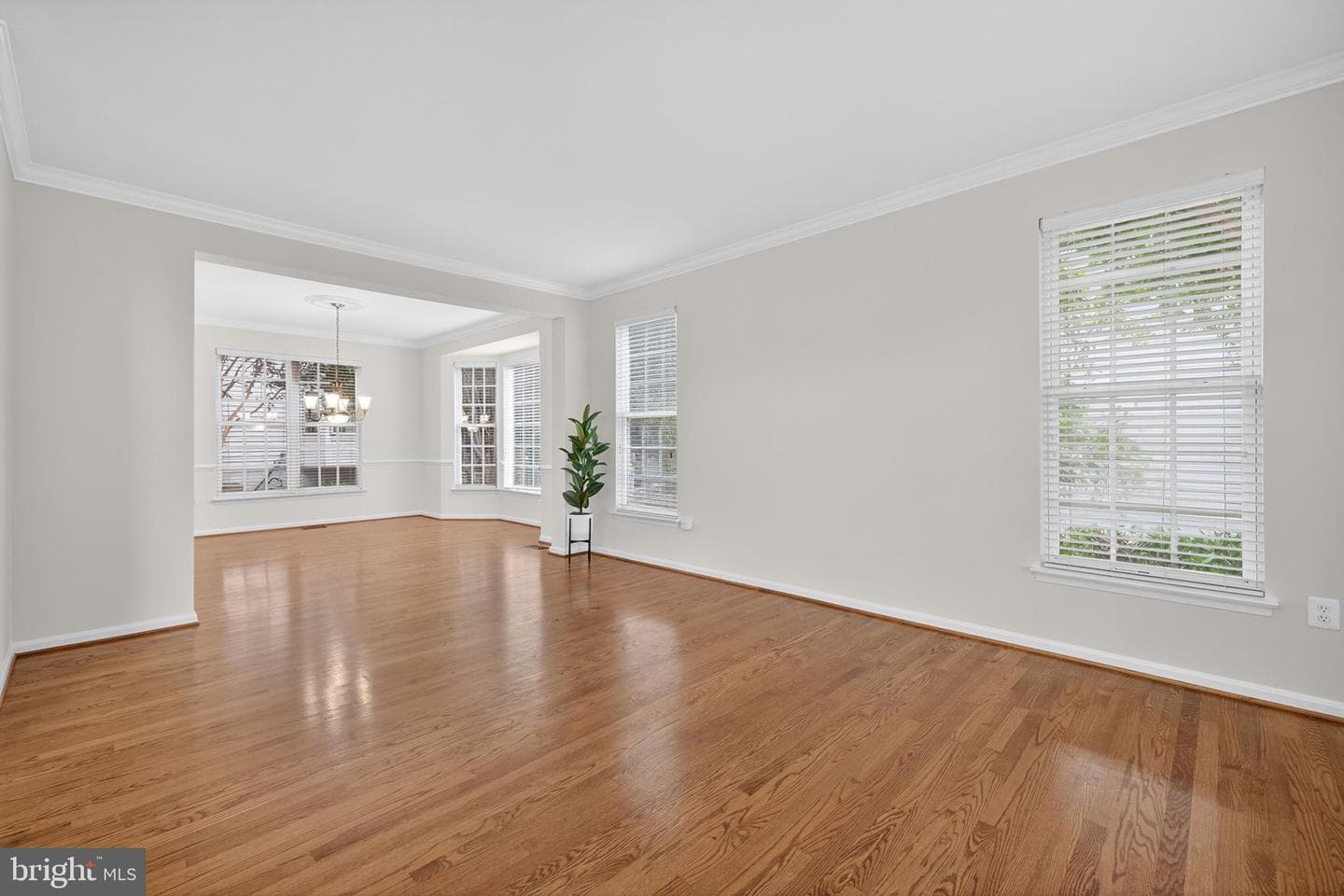 12200 Emory Falls Court photo 7