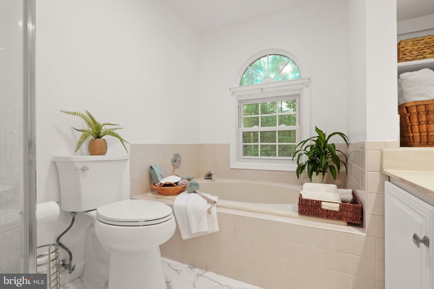 11150 Alendale Court photo 29