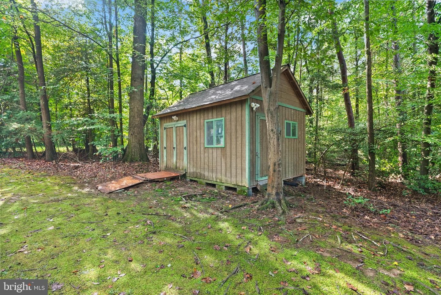 11150 Alendale Court photo 62