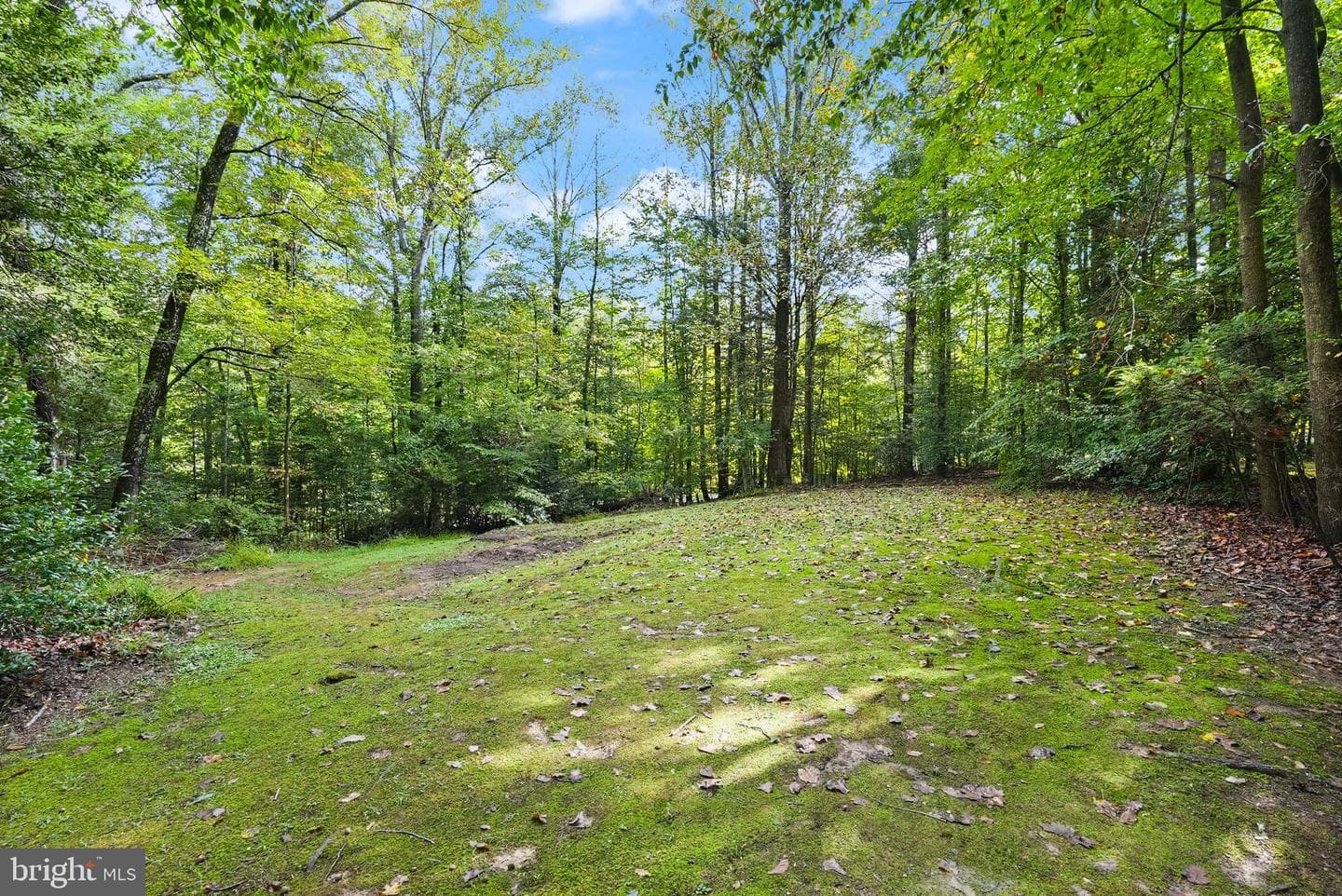 11150 Alendale Court photo 63