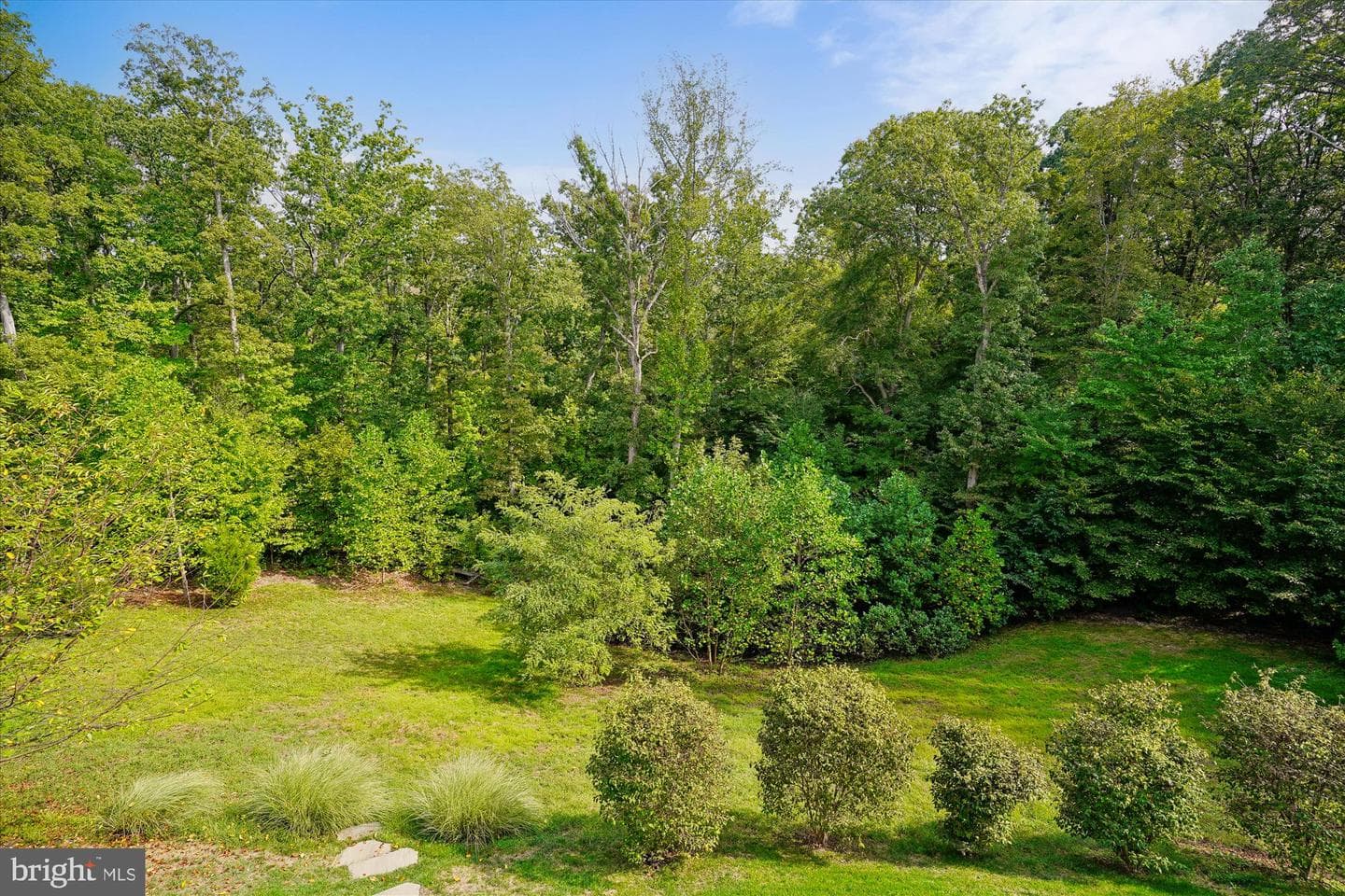 17135 Belle Isle Drive photo 6