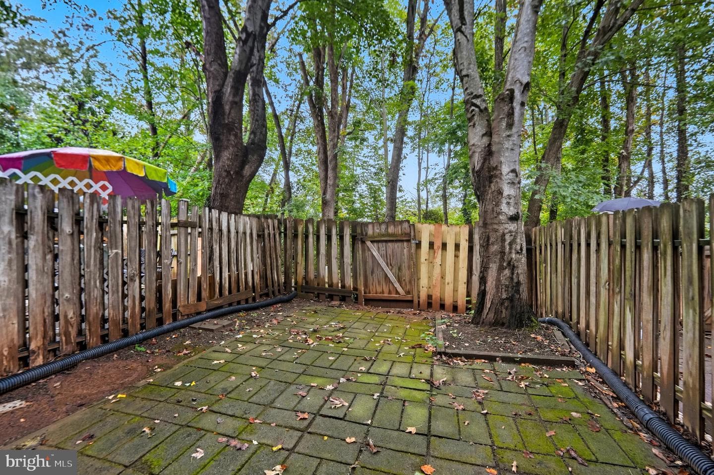 14877 Emberdale Drive photo 2