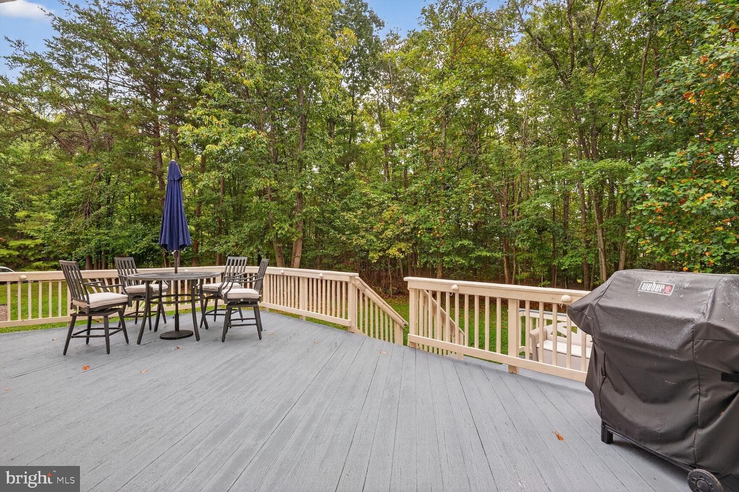 6233 Alistair Drive photo 45