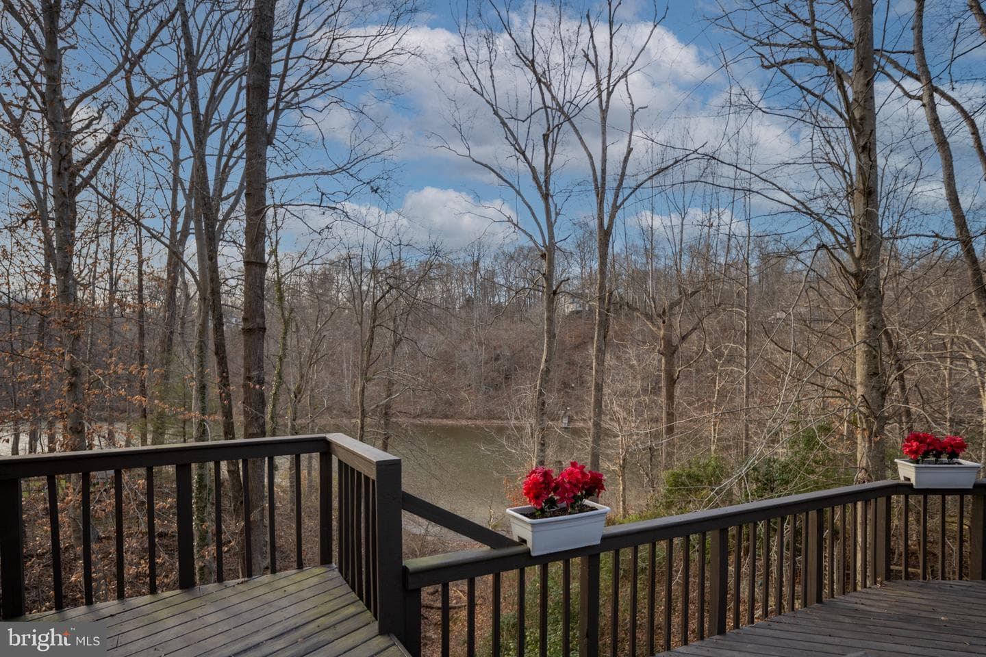 6207 Possum Trot Court photo 109