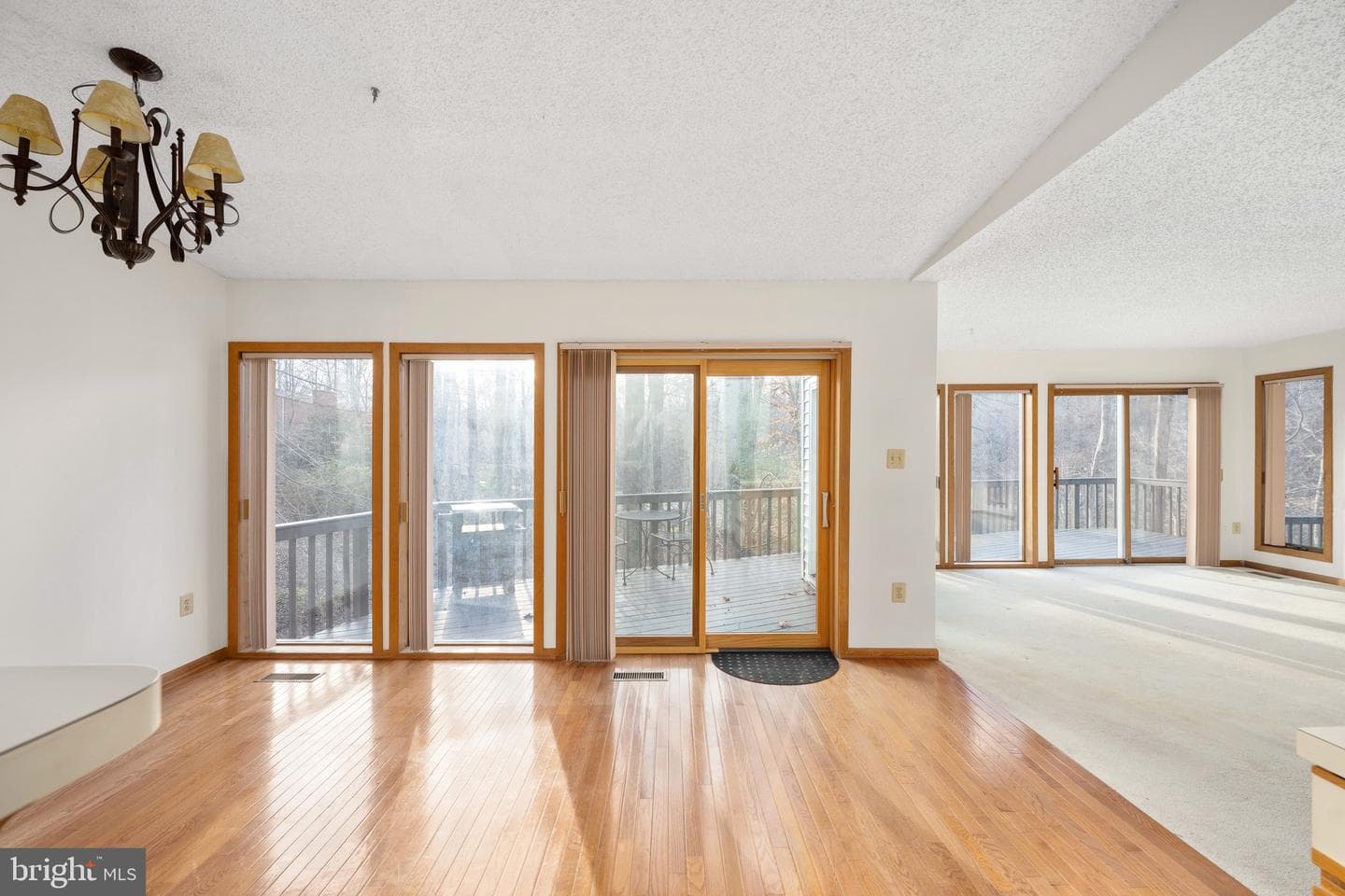 6207 Possum Trot Court photo 47