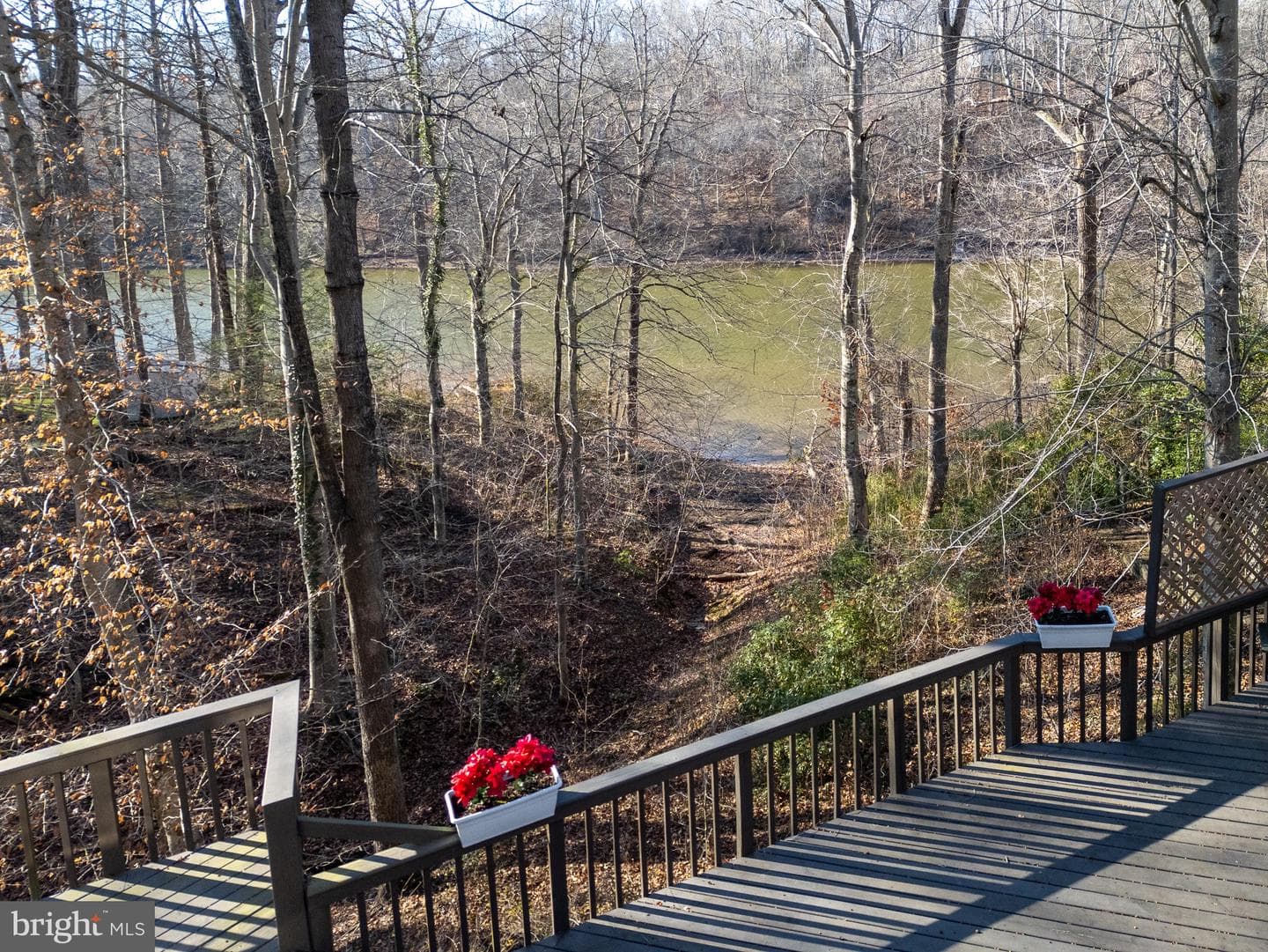 6207 Possum Trot Court photo 93
