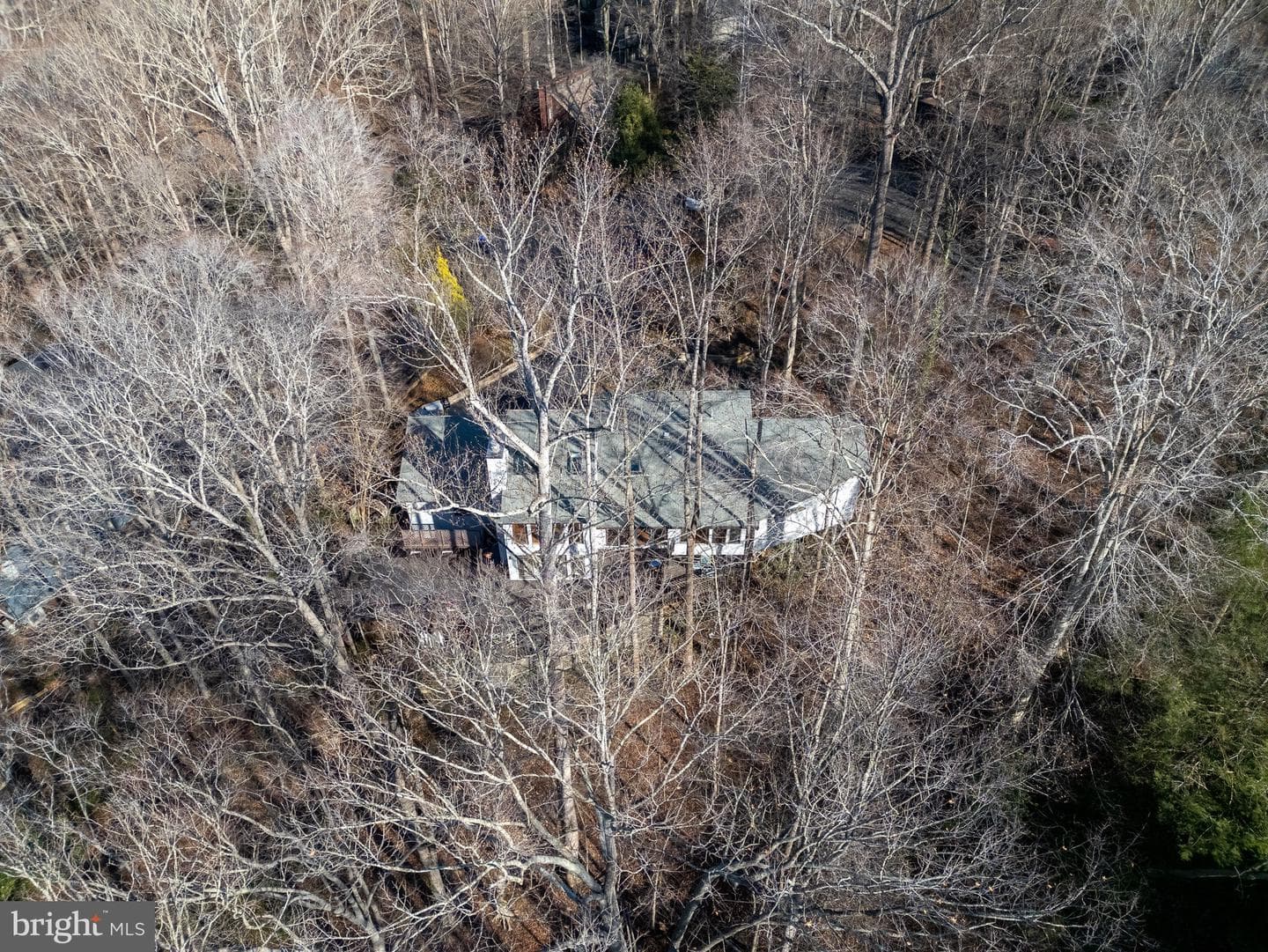 6207 Possum Trot Court photo 97