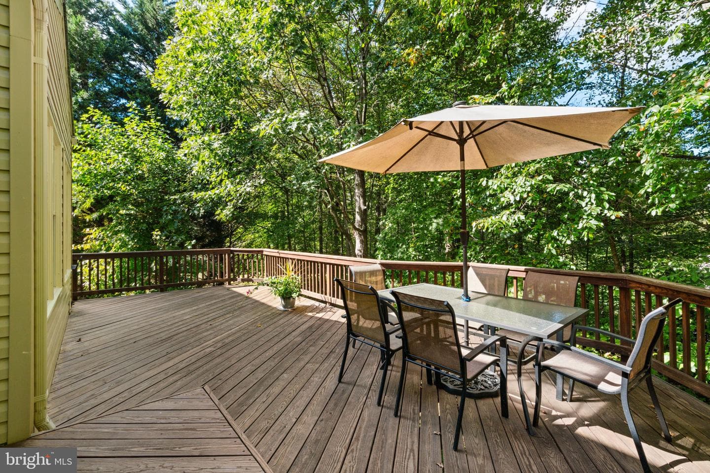 6374 Popwicke Court photo 54