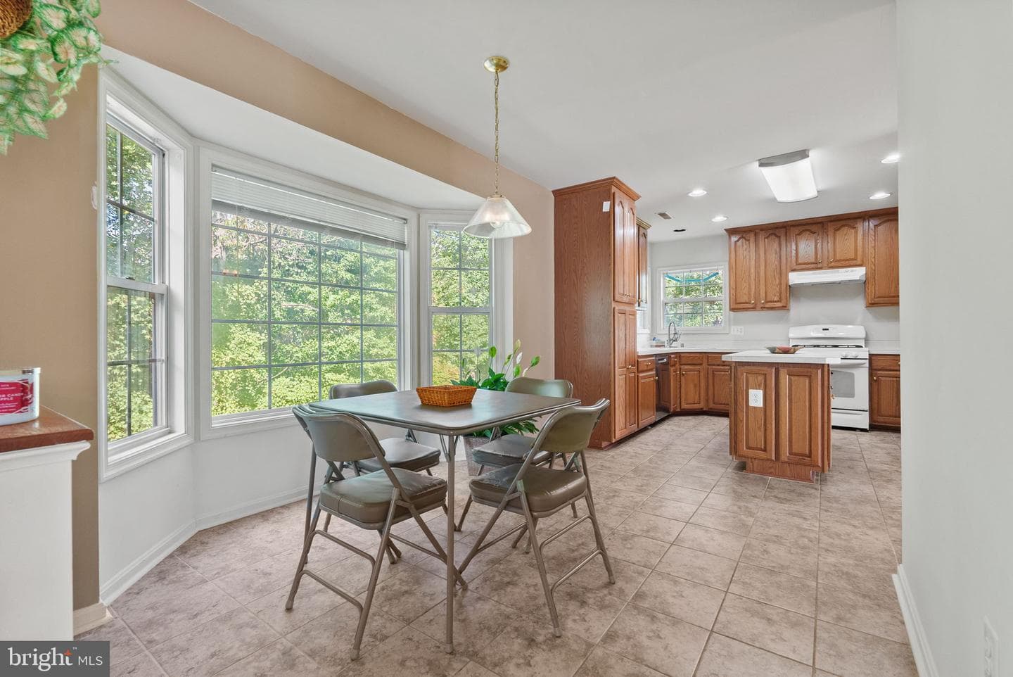 9404 Buckhall Farm Court photo 11