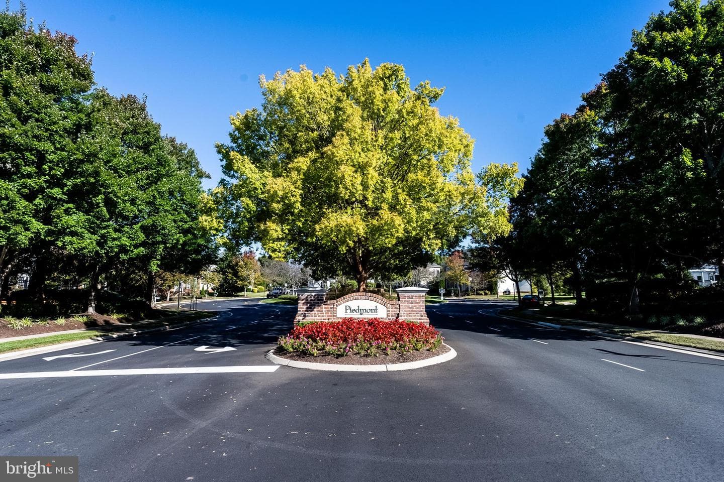 13365 Piedmont Vista Drive photo 4