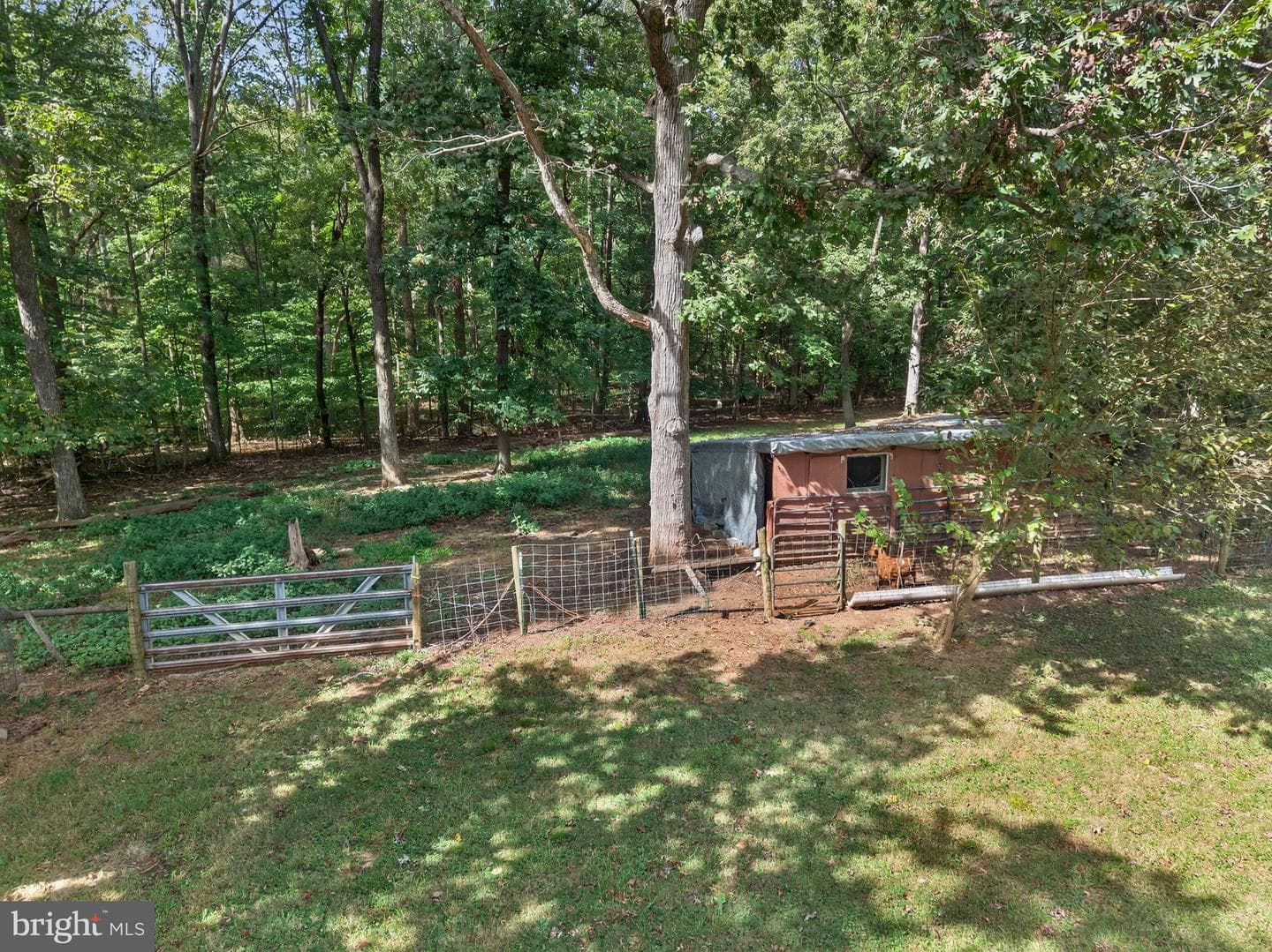 3830 Mount Atlas Lane photo 13