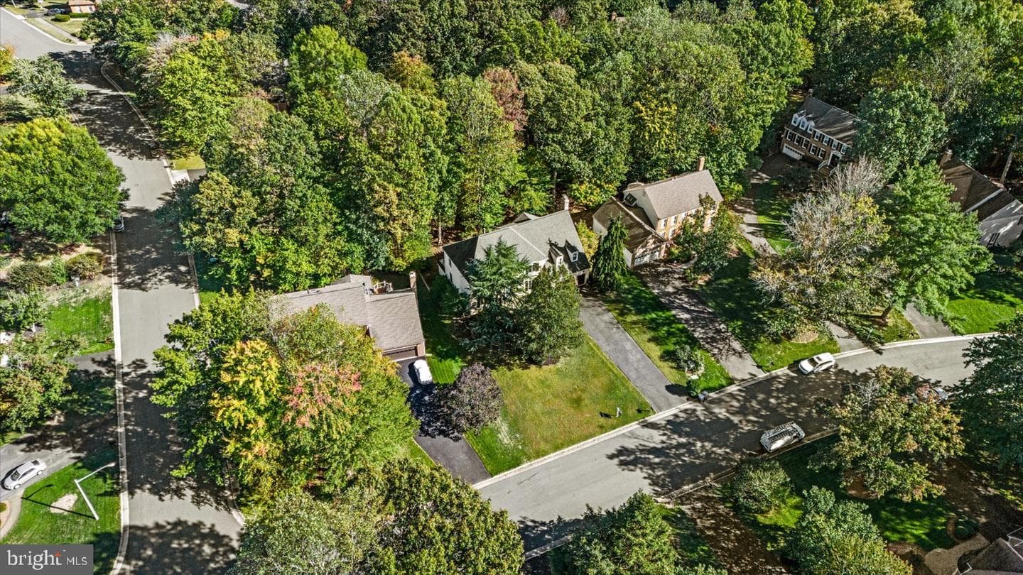 12303 Eliff Way photo 73