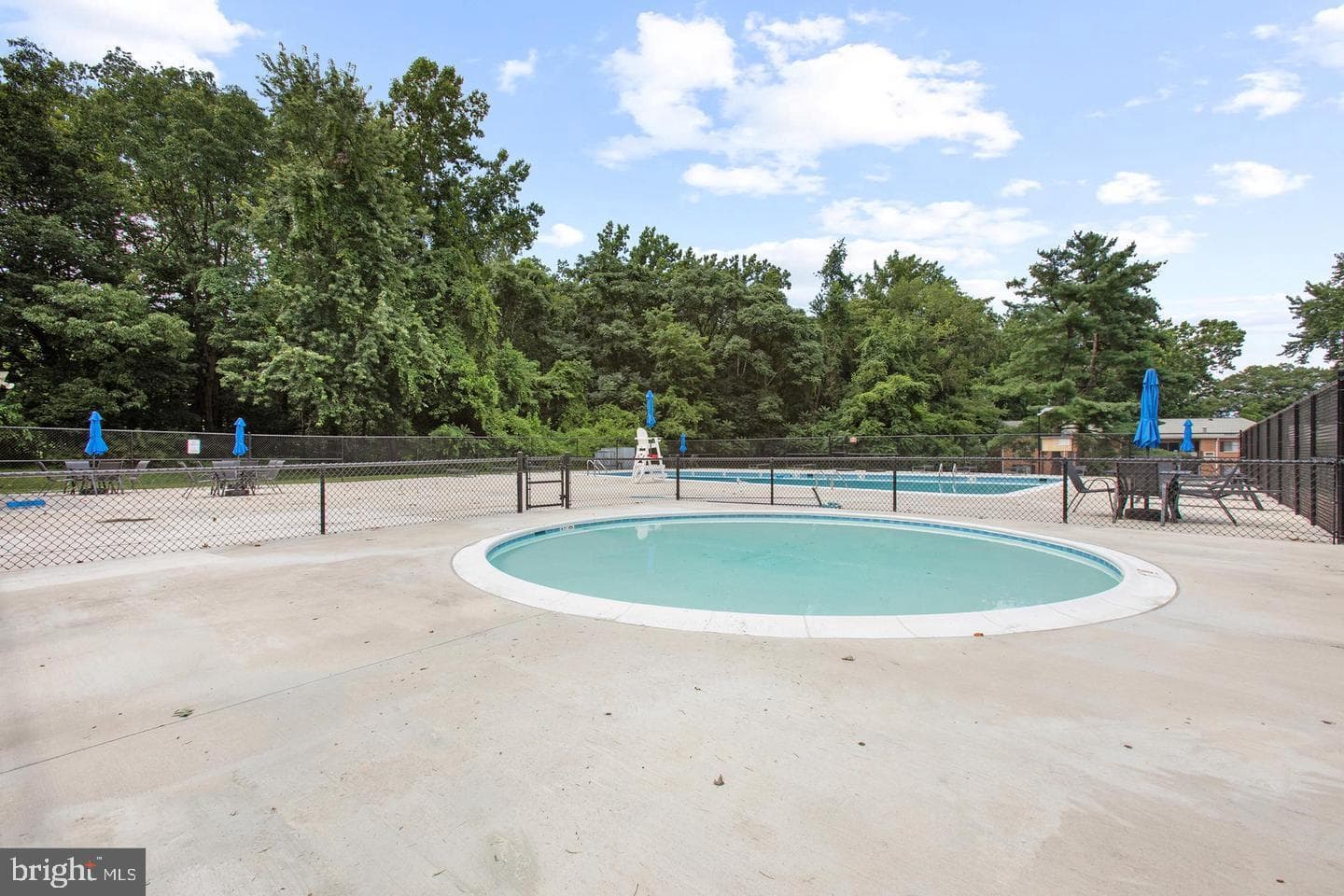12701 Lotte Drive #203 photo 4